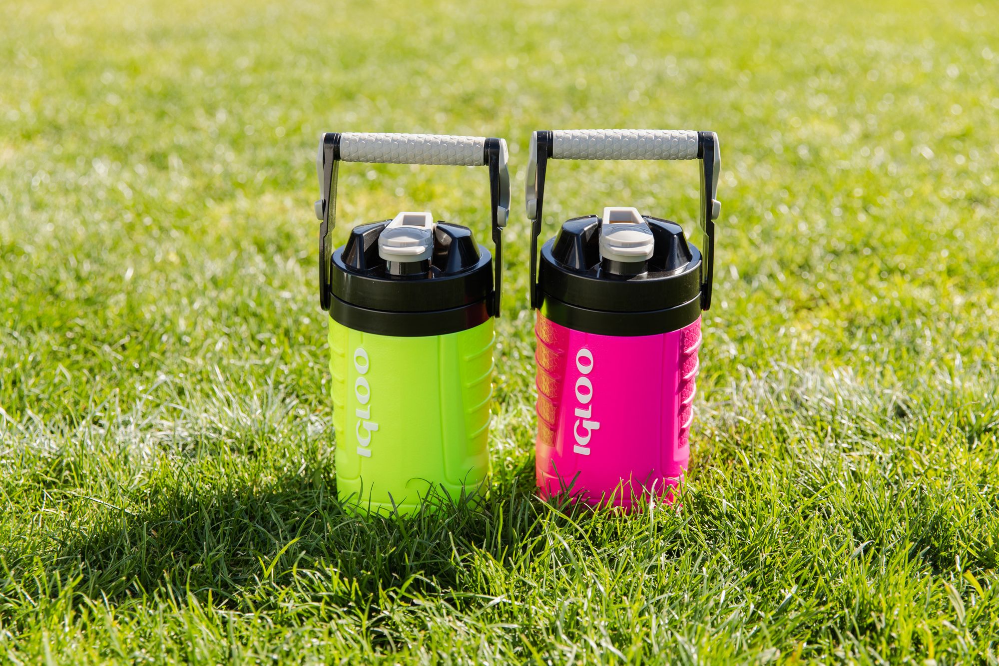 Igloo Proformance 1 Quart Jug product image