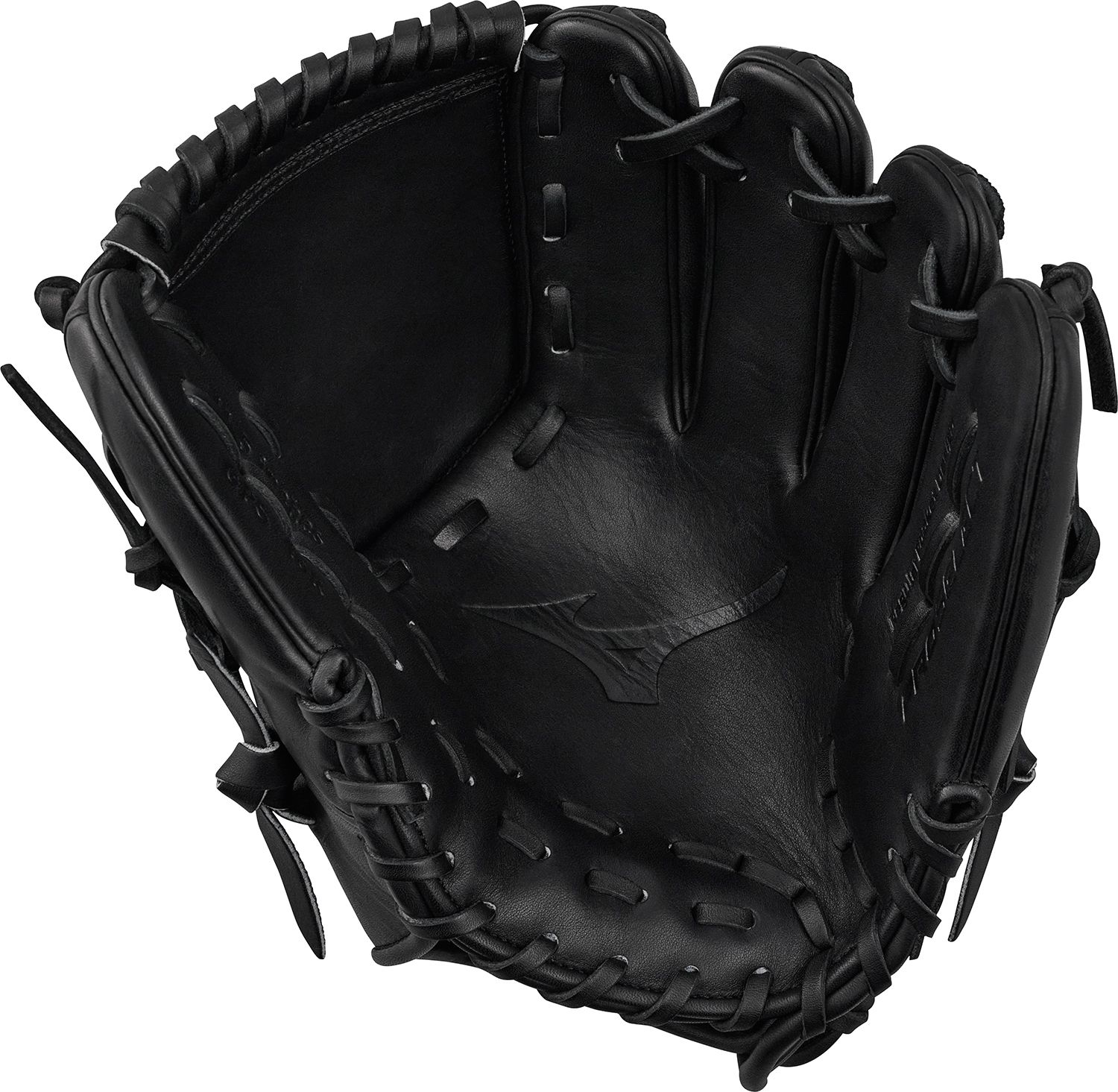 Mizuno 12” Abyss Pro Select Series Glove product image
