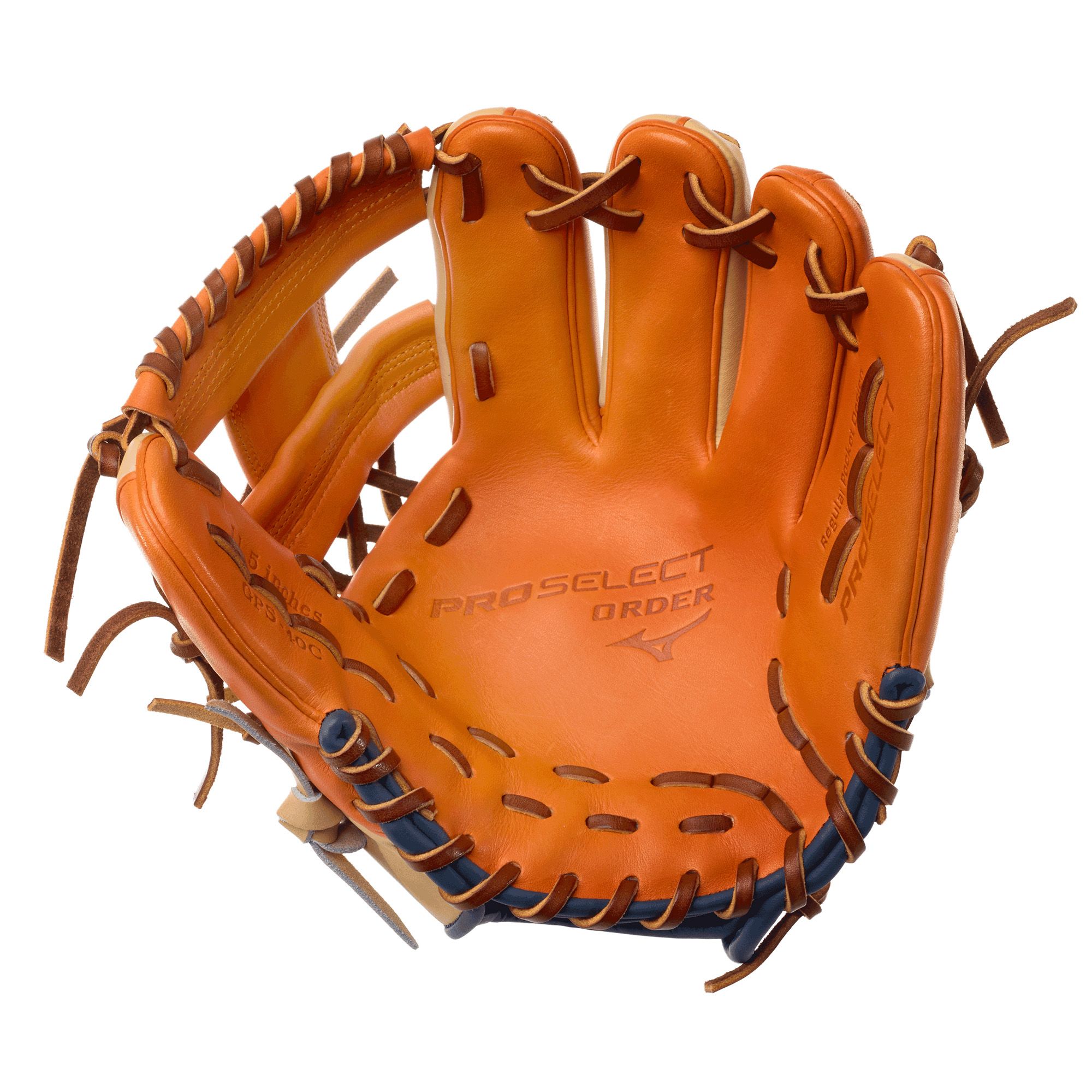 Mizuno 11.5"  Pro Select Hall of Fame Glove product image