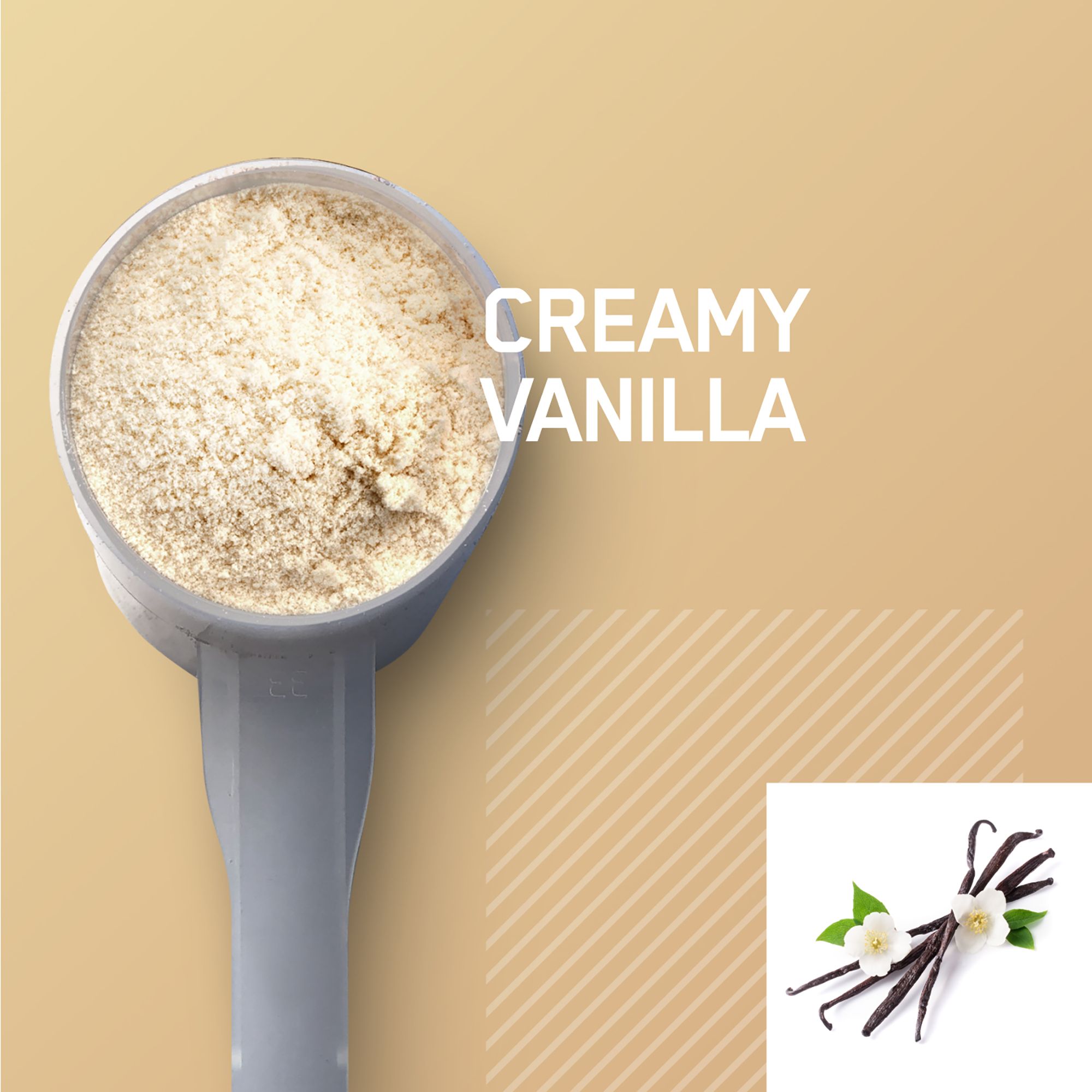 Optimum Nutrition 100% Plant Gold Standard Protein- 1.63lbs. product image