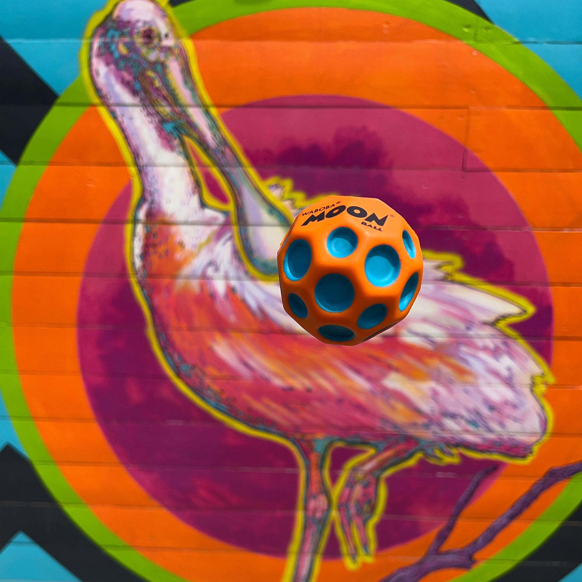 Waboba Martian Moon Ball - Assorted Colors product image