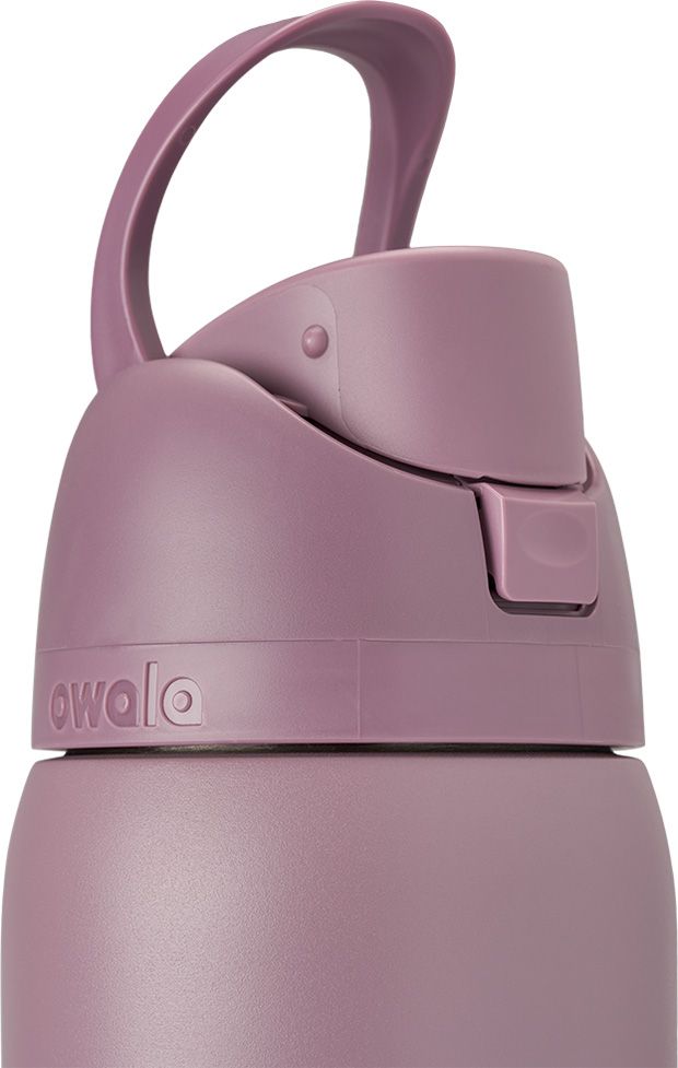 Owala 32 oz. FreeSip Stainless Steel Water Bottle product image
