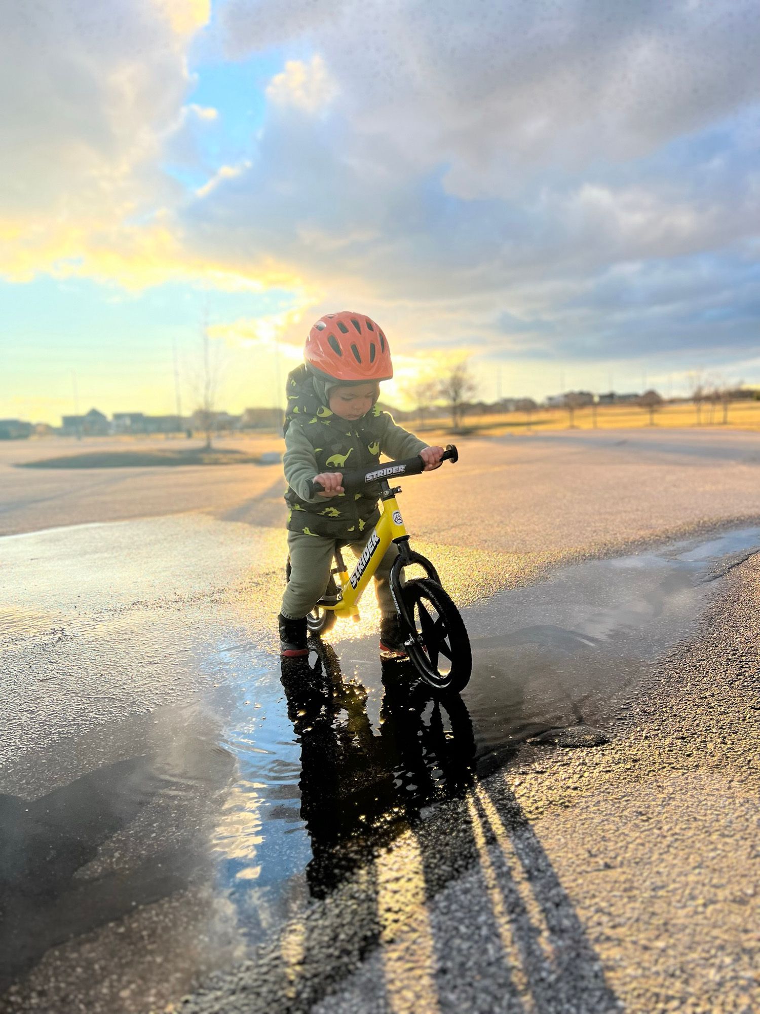 STRIDER Sport No-Pedal Balance 12" Bike product image