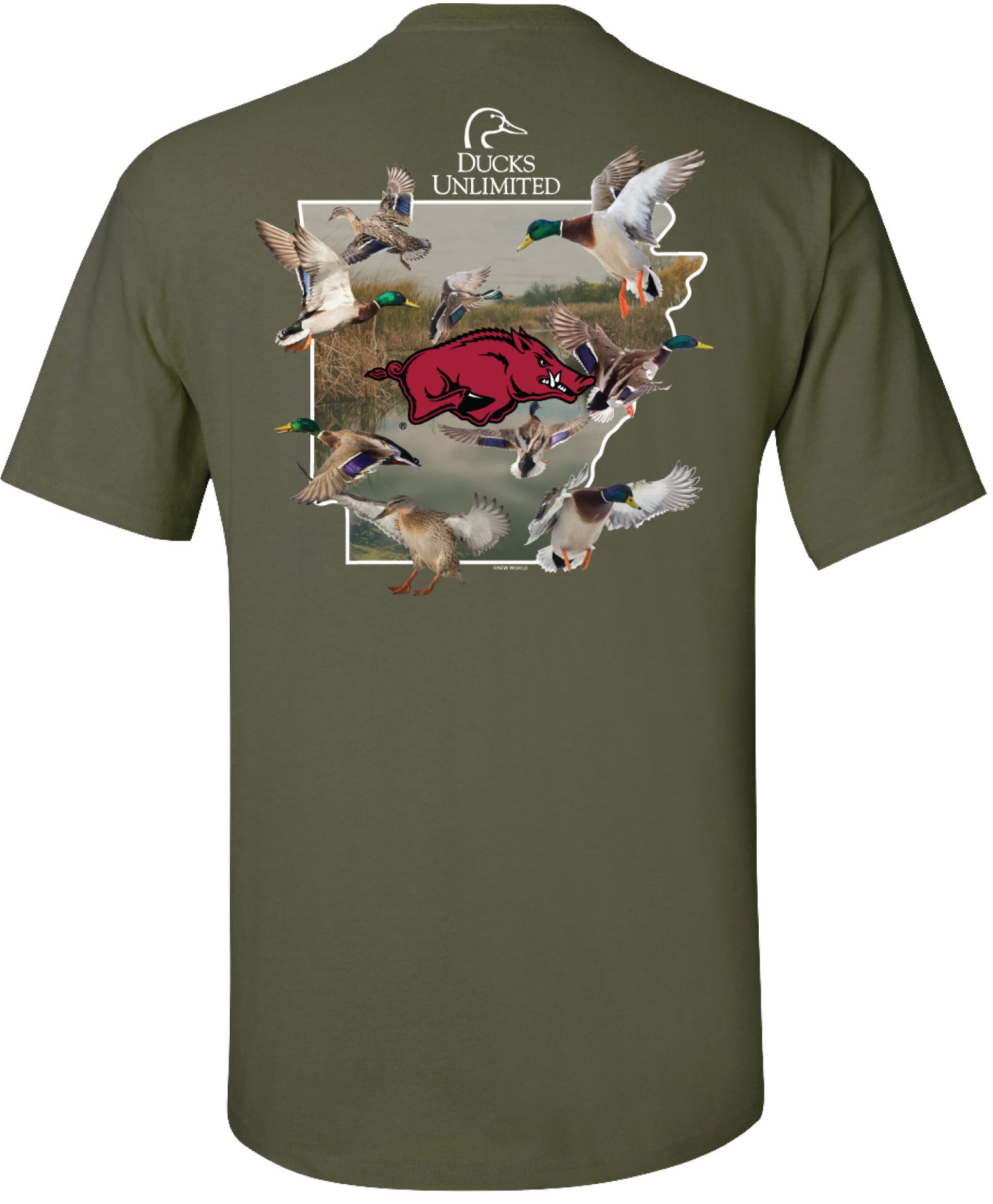 New World Graphics Men's Arkansas Razorbacks Green Ducks Unlimited Graphic T-Shirt product image