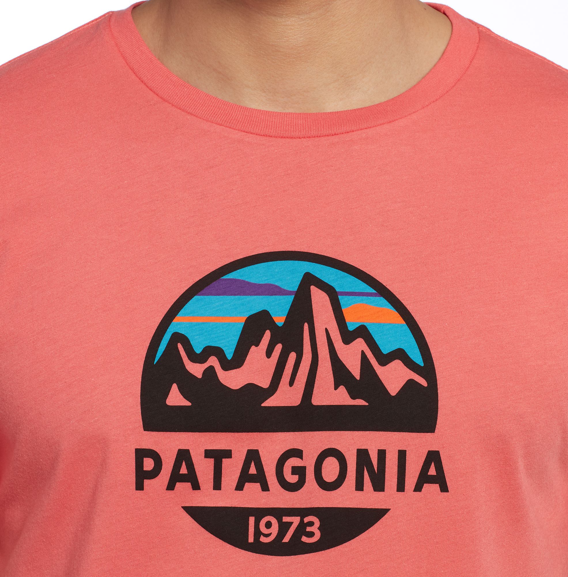 patagonia fitz roy scope t shirt