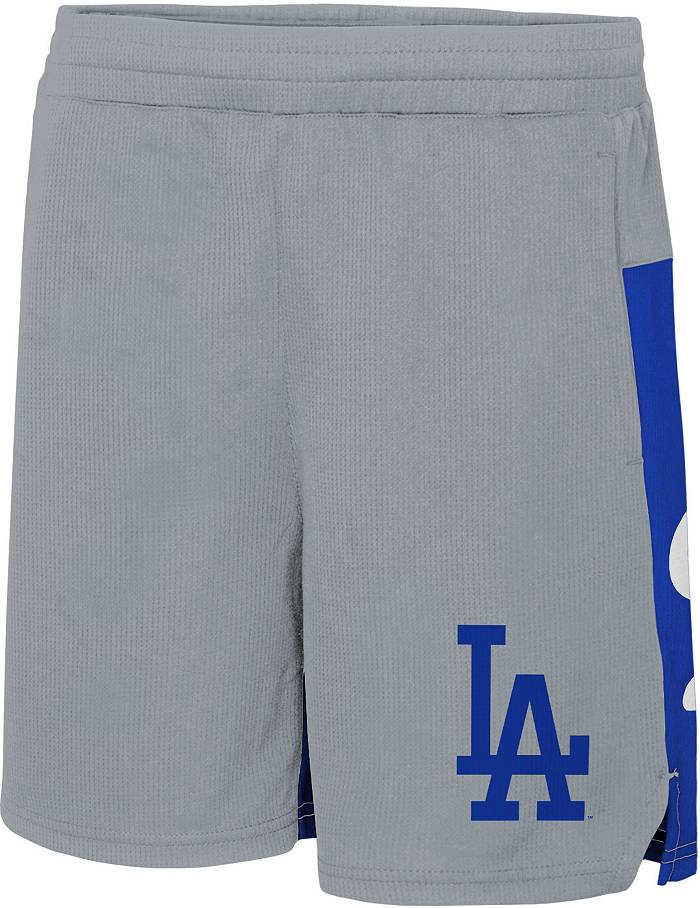 Dick's Sporting Goods MLB Team Apparel Youth Los Angeles Dodgers