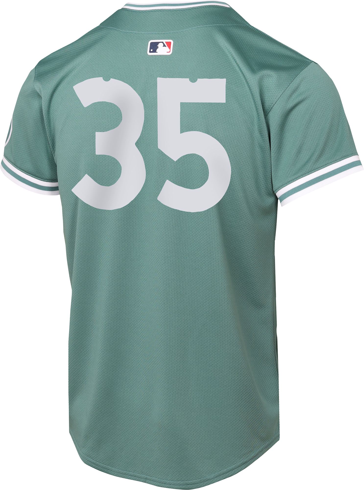 Nike Youth Boston Red Sox City Connect Garrett Crochet #35 Alternate Baseline Jersey product image