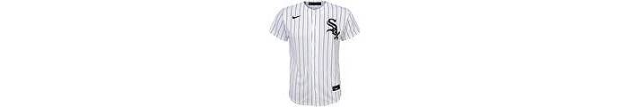 Dick's Sporting Goods Nike Youth Chicago White Sox Yoán Moncada