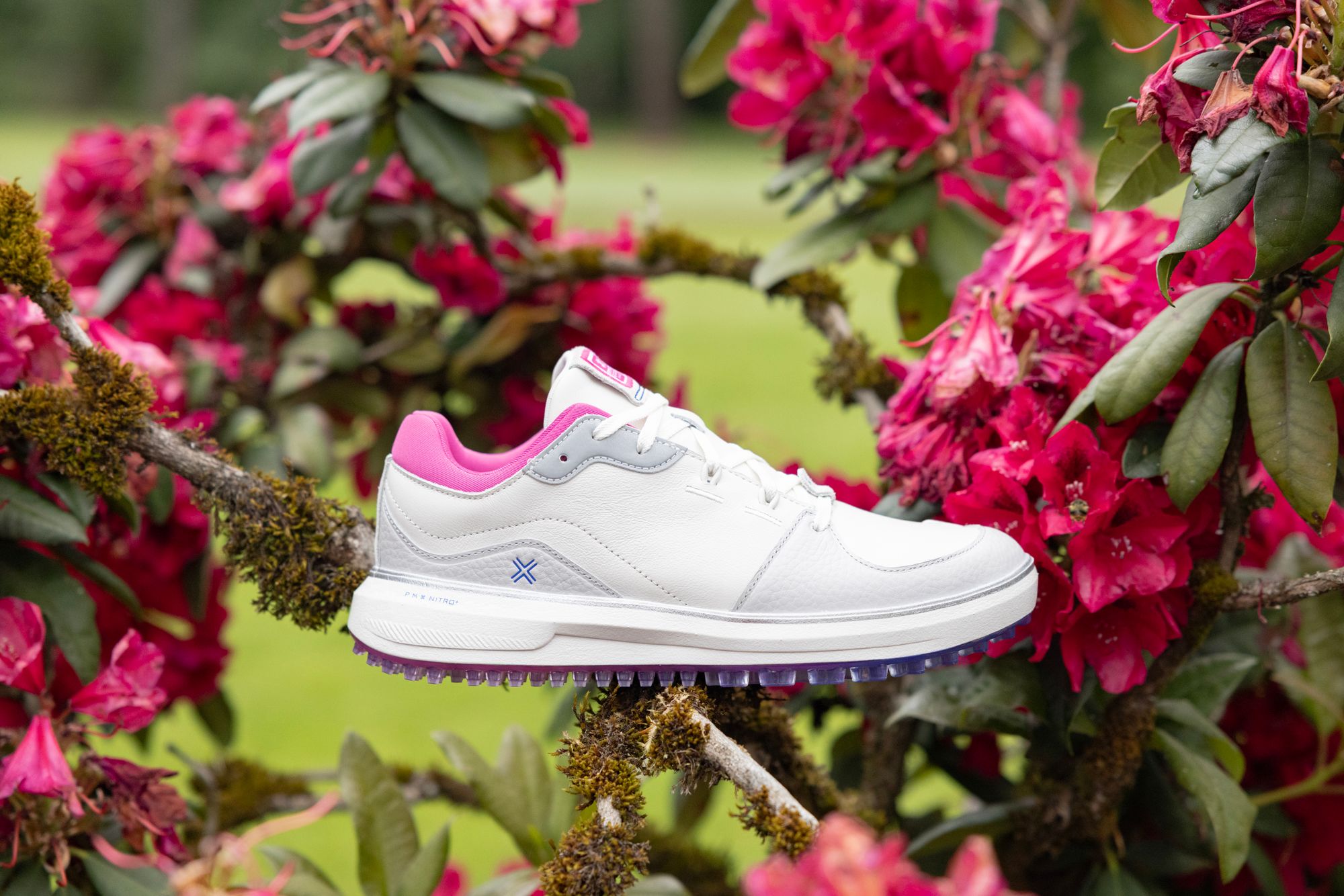 PAYNTR Golf Women's Sports Classic LE Golf Shoes product image