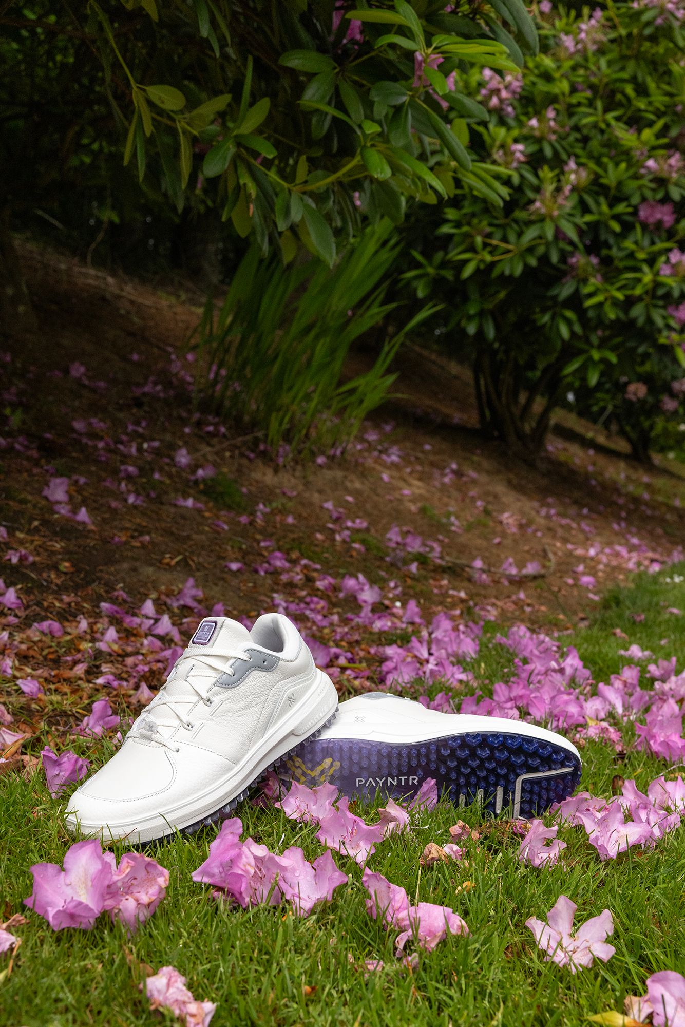 PAYNTR Golf Women's Sports Classic LE Golf Shoes product image