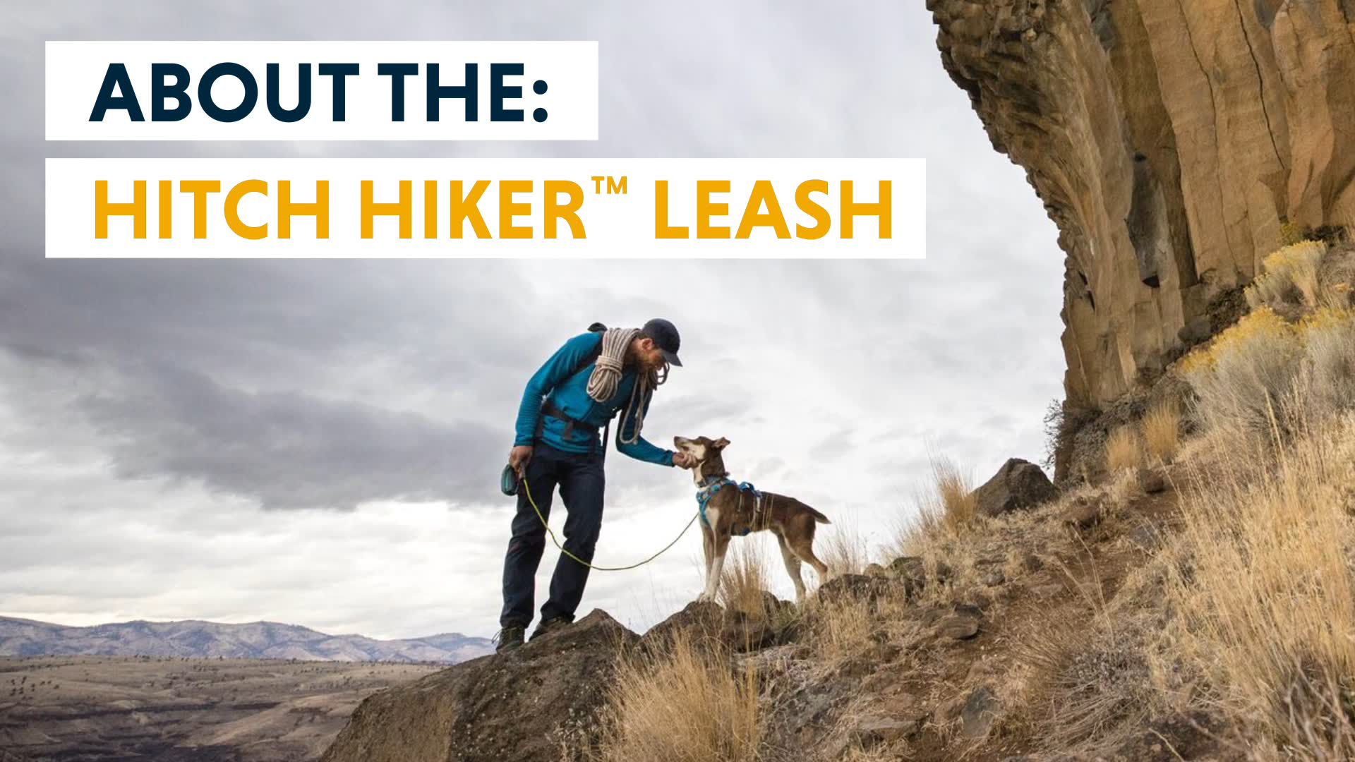 Ruffwear Hitch Hiker Leash product