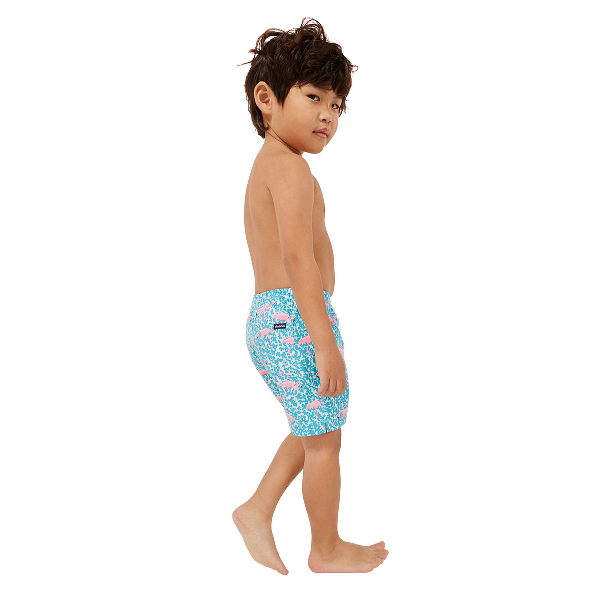 Chubbies Toddler Boys' Classic Swim Trunks product image