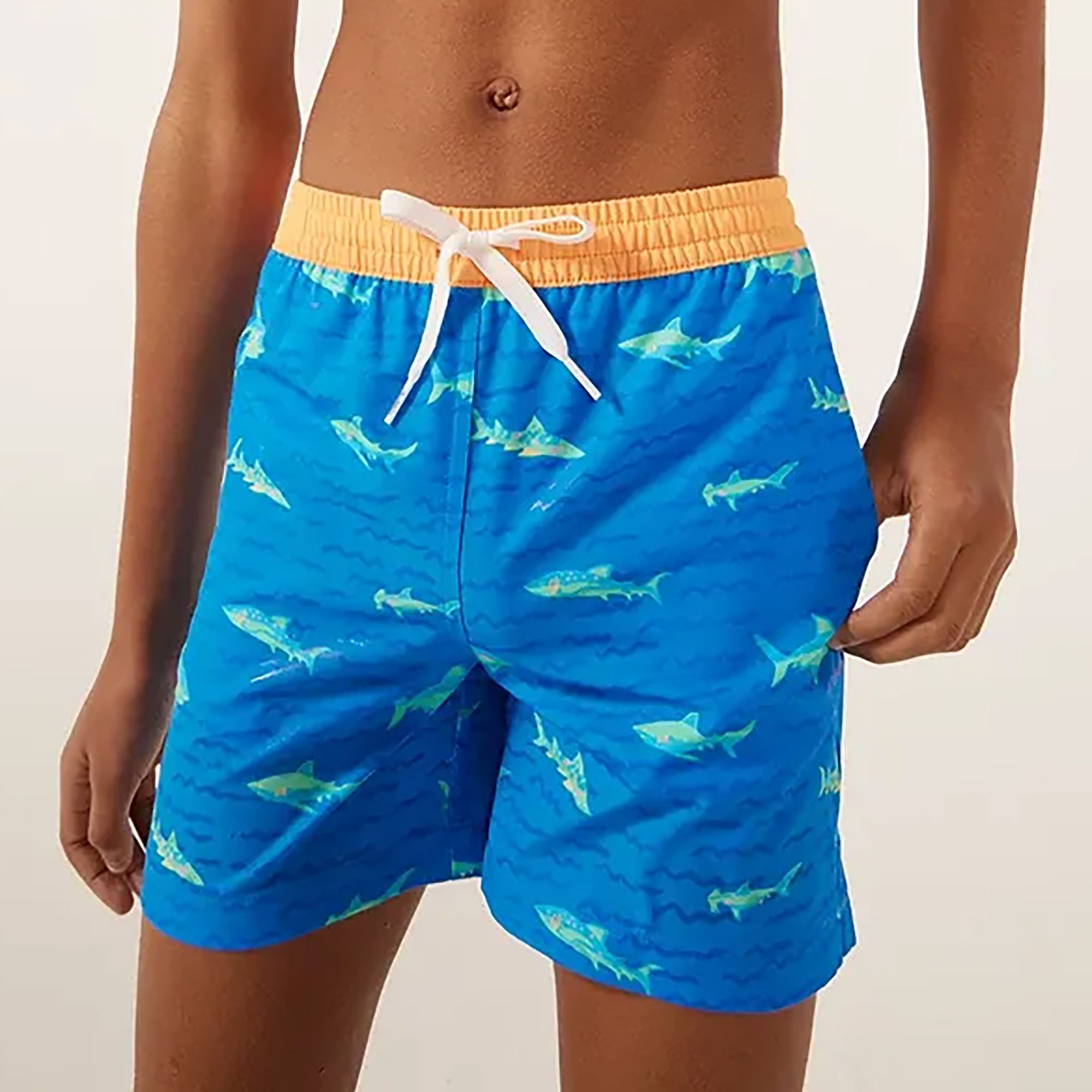 Chubbies Boys' Classic Lined Swim Trunks product image