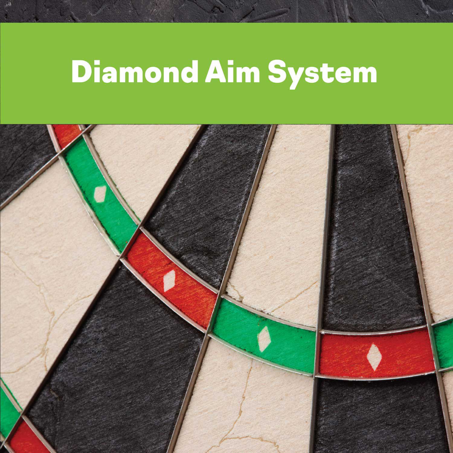 Viper AIM 360 Sisal Dartboard product image