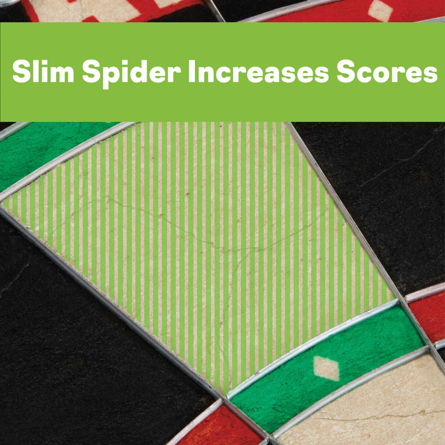 Viper AIM 360 Sisal Dartboard product image