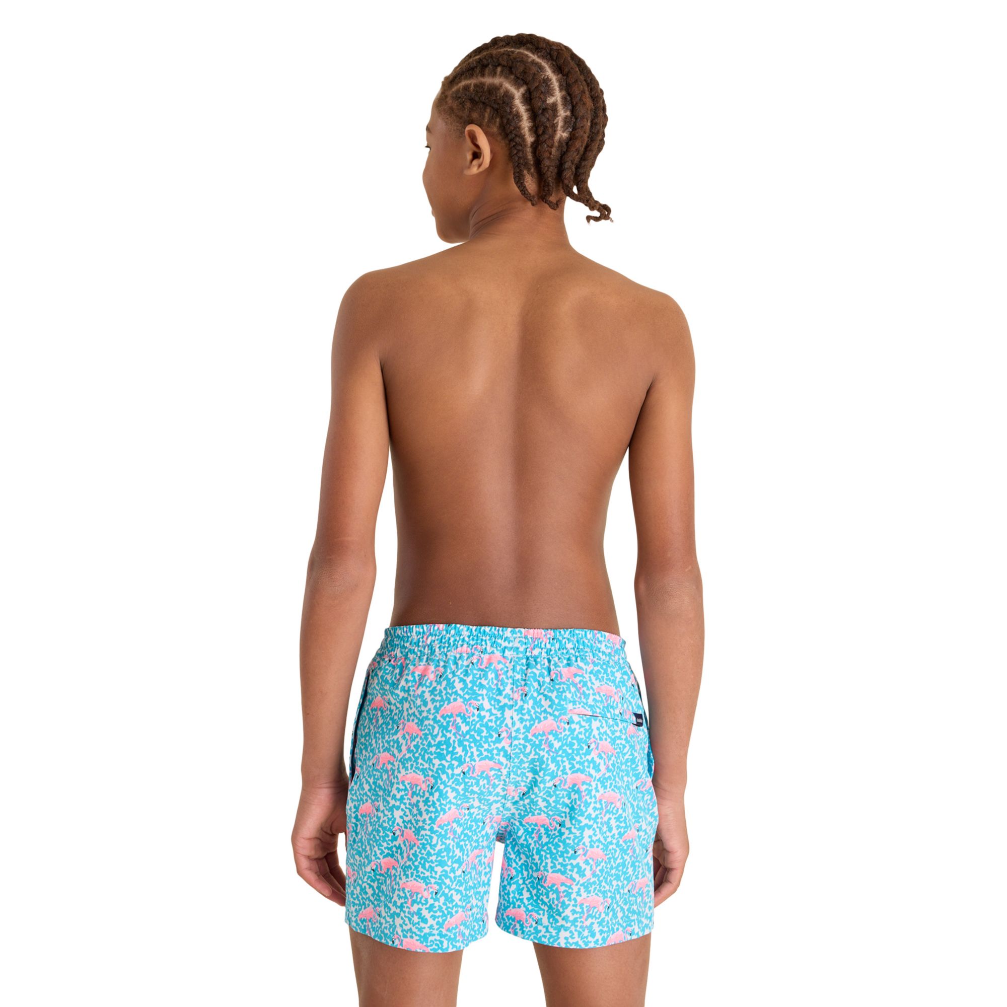 Chubbies Boys' Shorter Classic Lined Swim Trunks product image