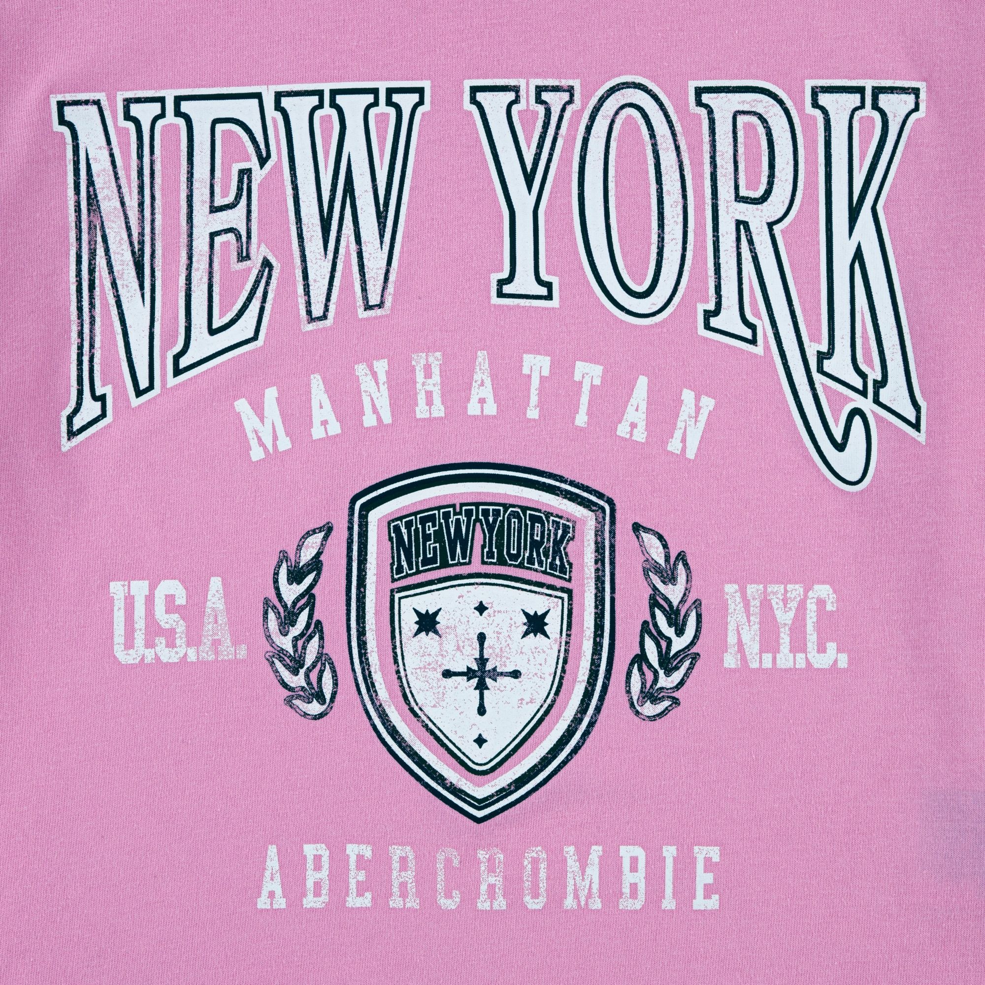 abercrombie kids ny crest boxy tee product image