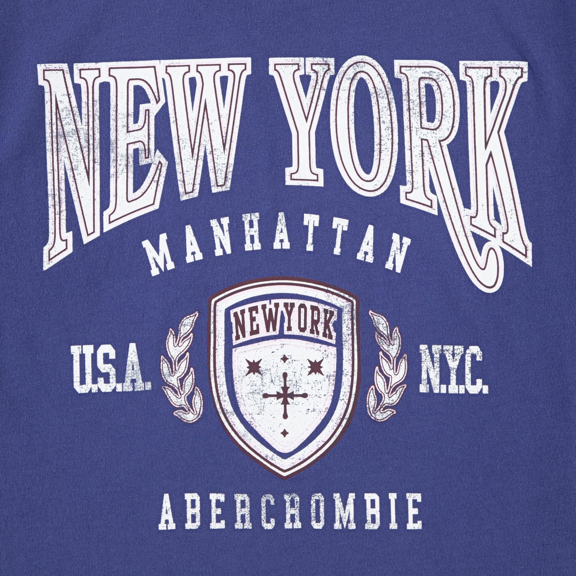 abercrombie kids ny crest boxy tee product image