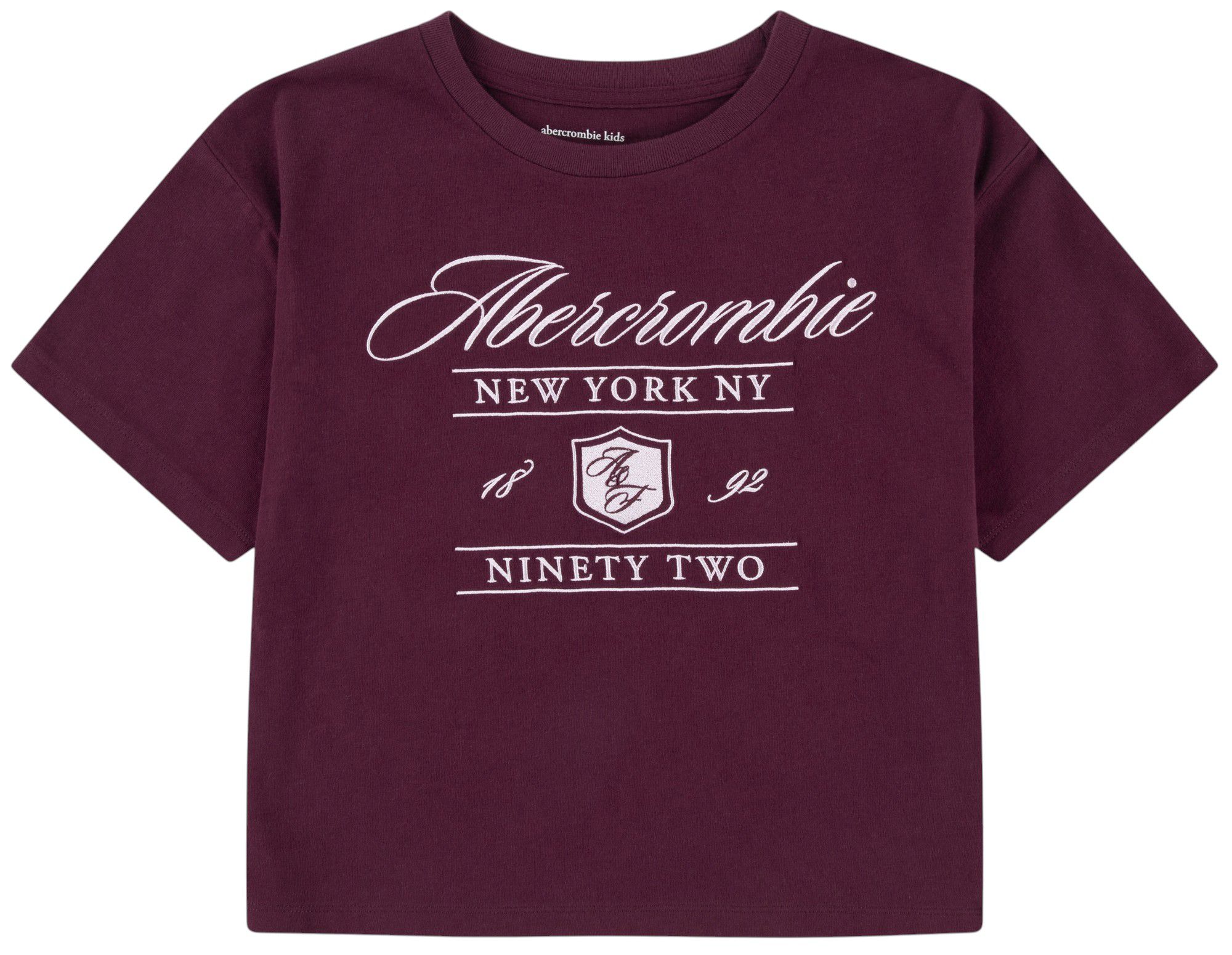 abercrombie kids boxy tee product image