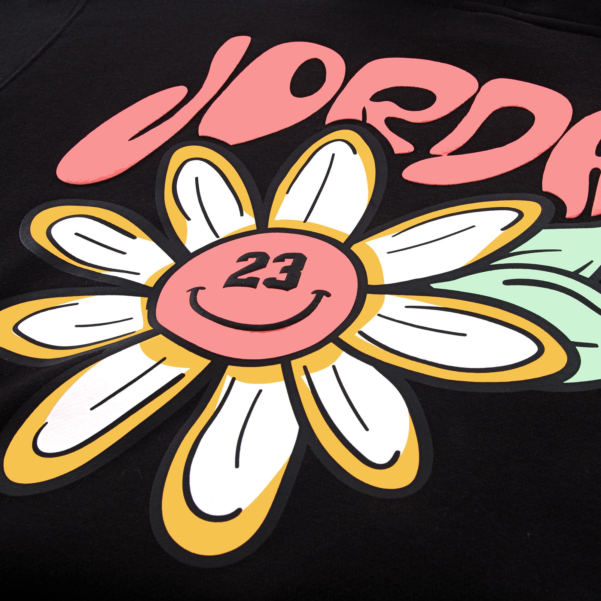 Jordan Girls' Floral Flight Pullover Hoodie product image