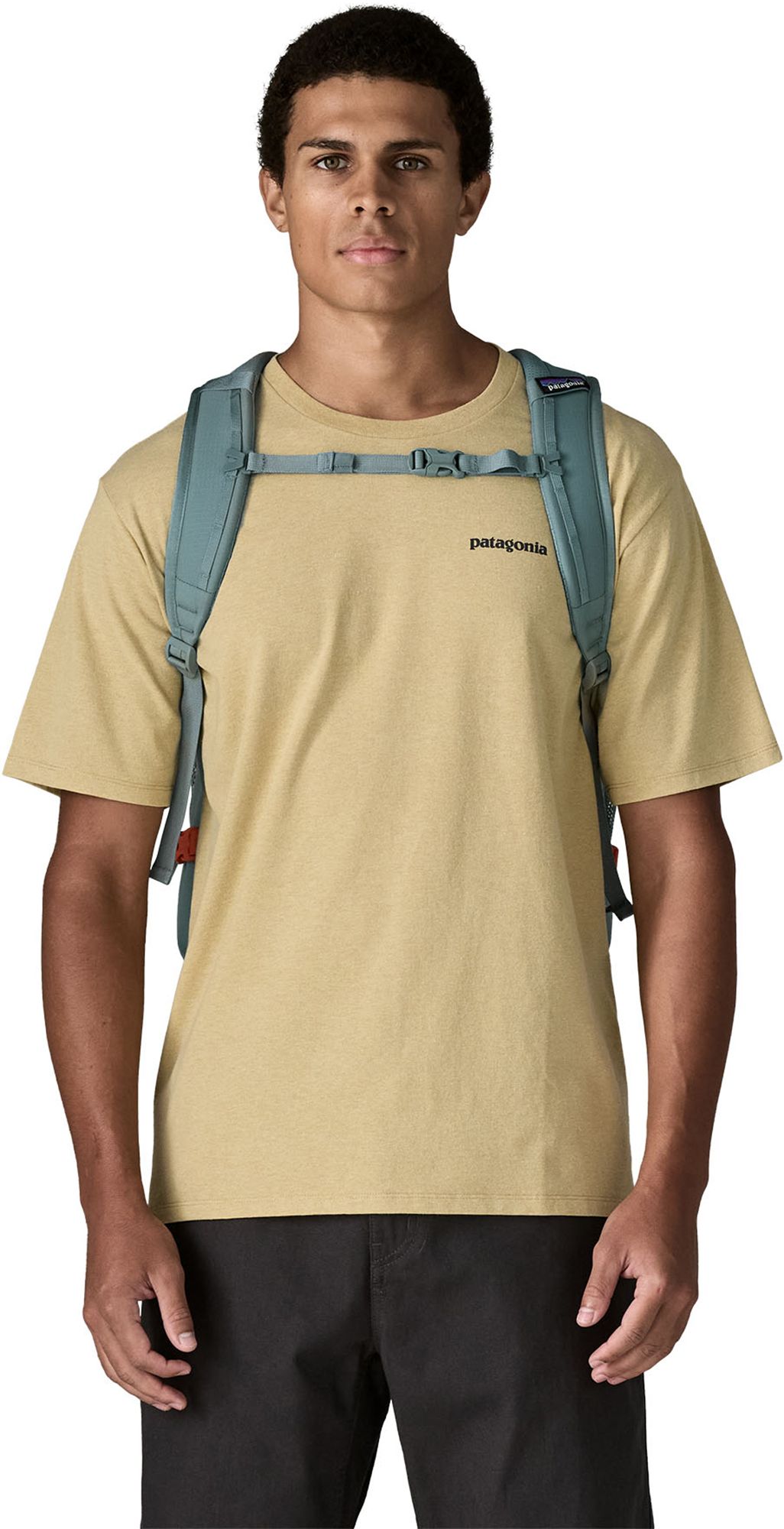 Patagonia Refugio Daypack (30L) product image