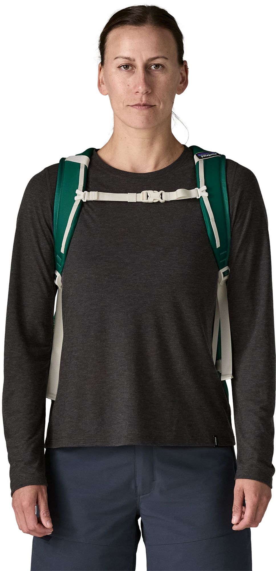 Patagonia Refugio Daypack (30L) product image