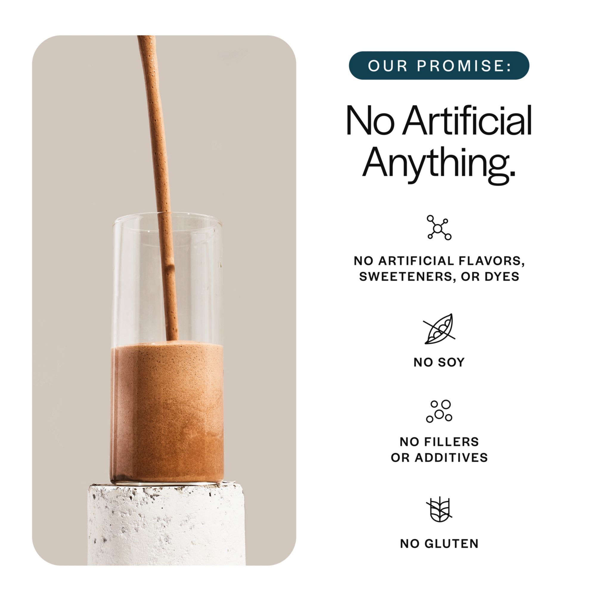 GAINFUL Everyday Whey Protein – 14 Servings product image