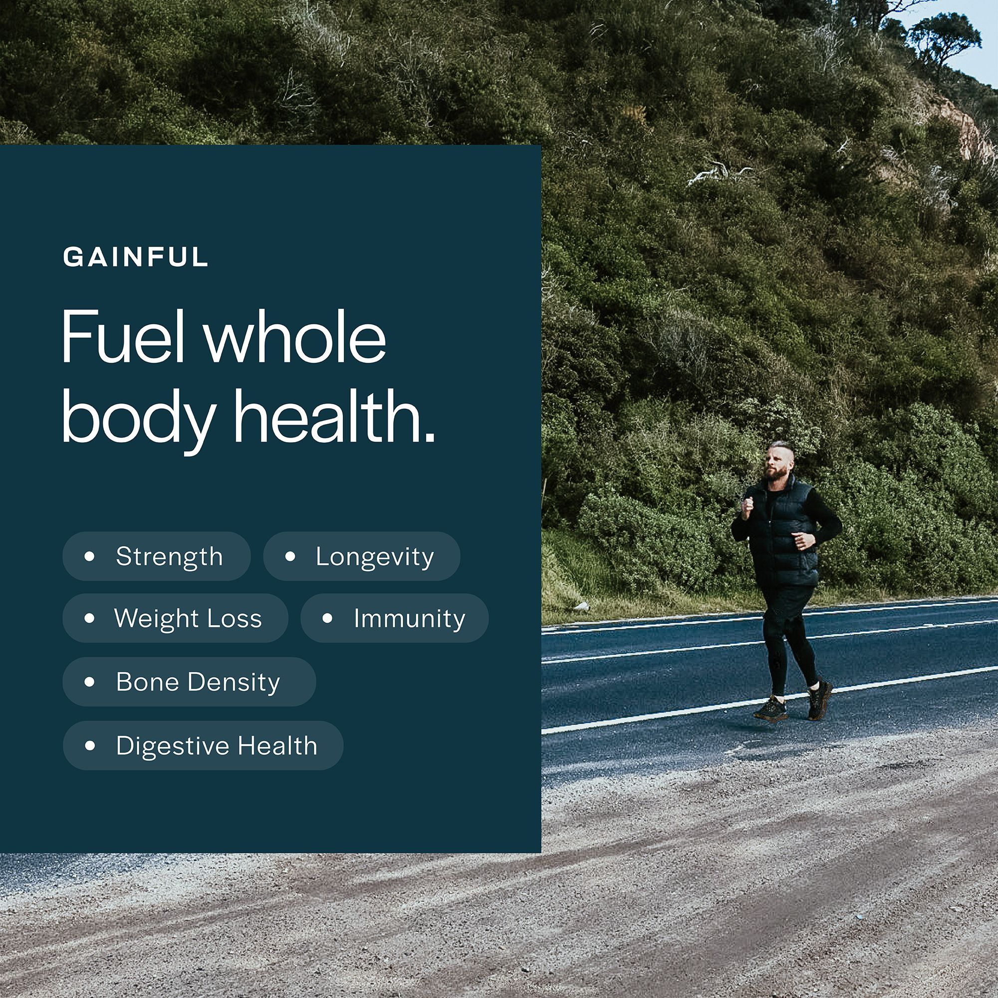 GAINFUL Everyday Whey Protein – 14 Servings product image