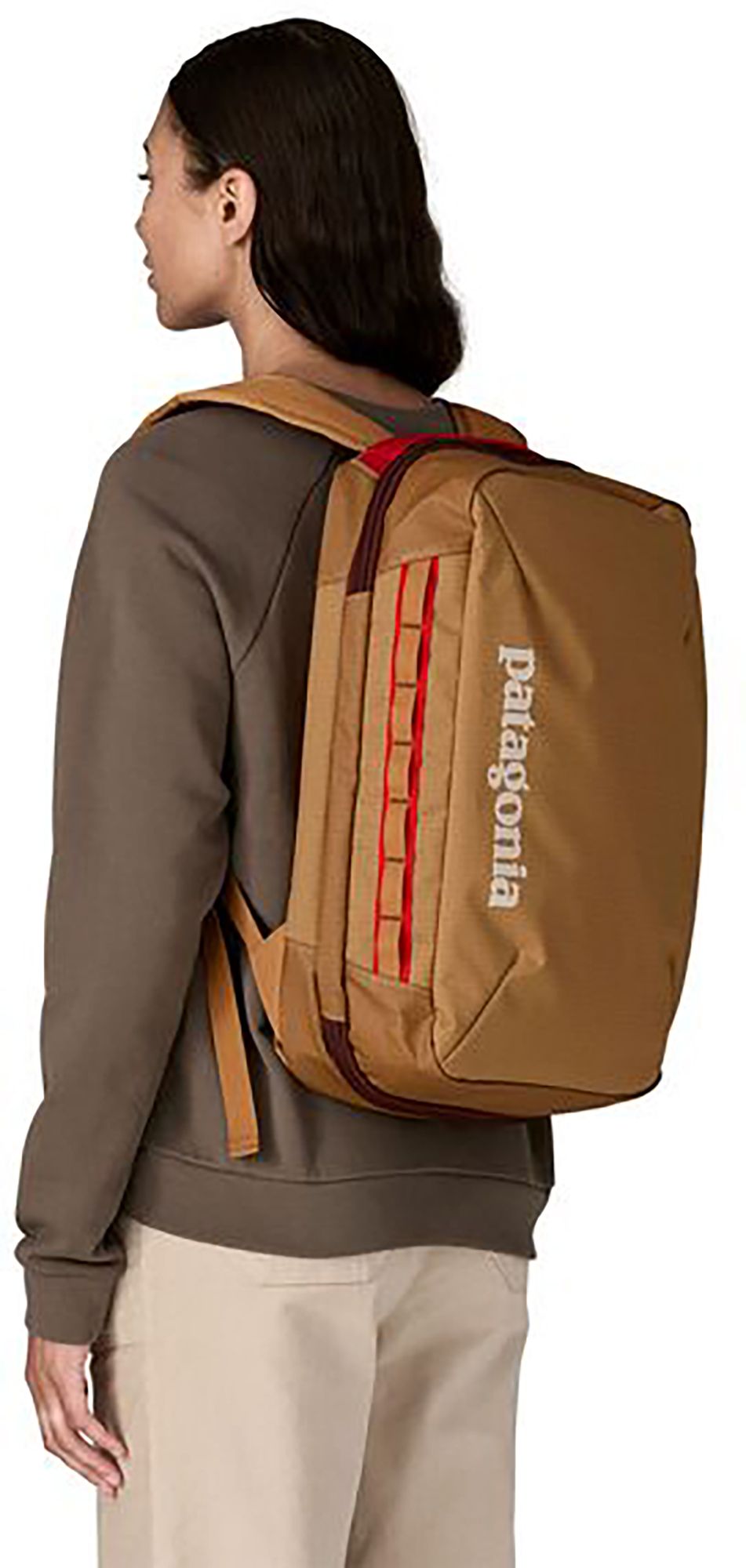 Patagonia Black Hole Micro MLC Backpack 22L product image