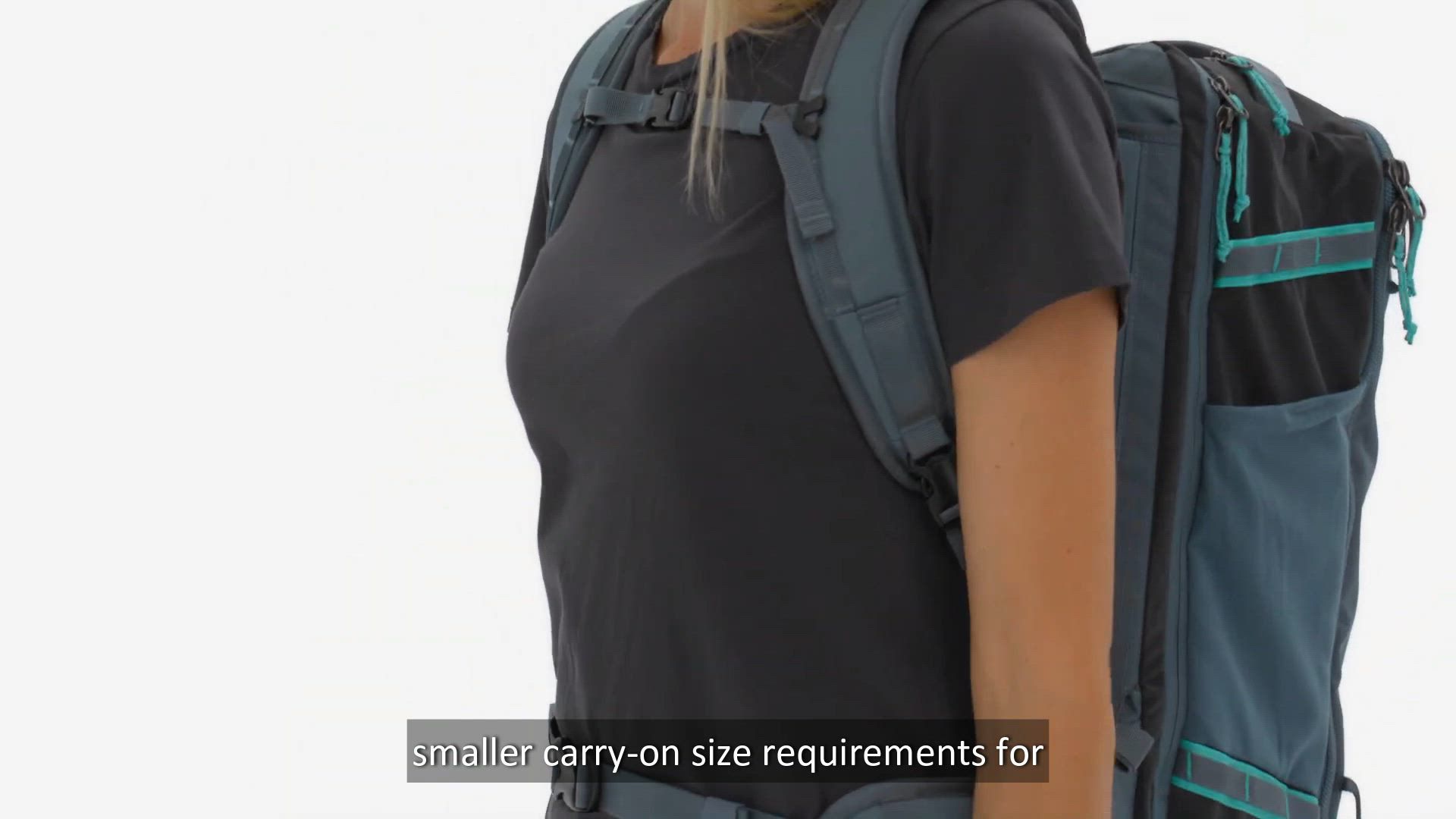 Patagonia Black Hole Mini MLC product