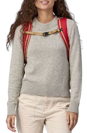 Patagonia Black Hole 32L Daypack product image
