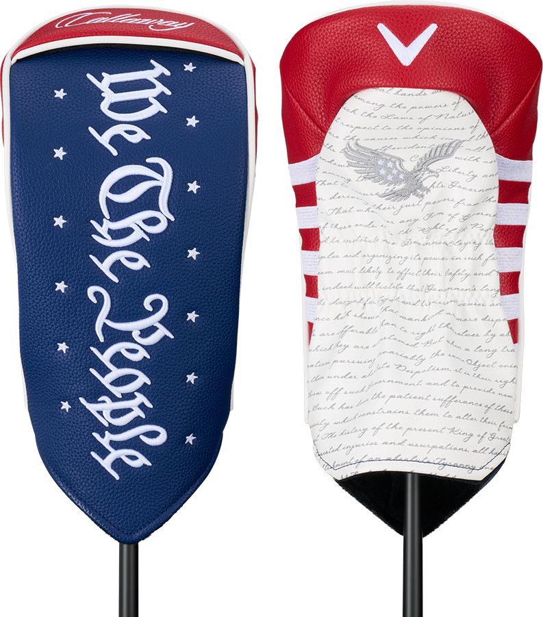 Callaway USA 250 Quantum Max Driver product image