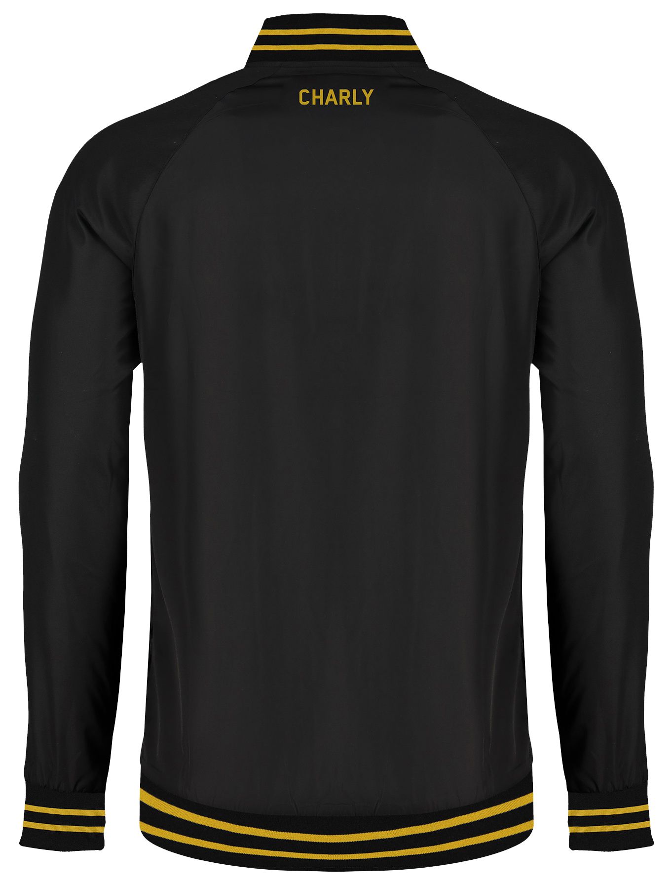 Charly Adult Pittsburgh Riverhounds Grey Bomber Jacket product image