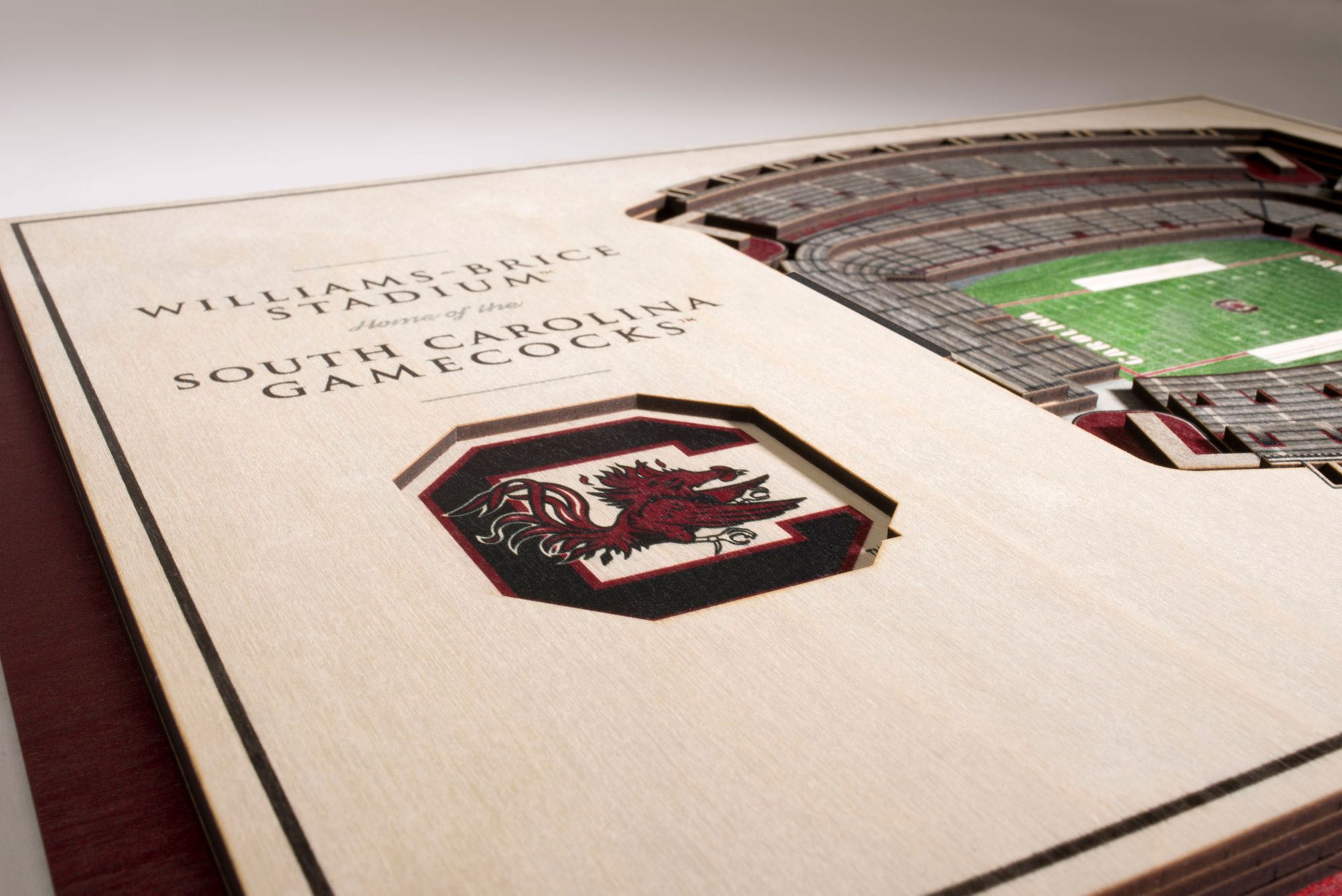 YouTheFan South Carolina Gamecocks 5-Layer StadiumViews 3D Wall Art product image