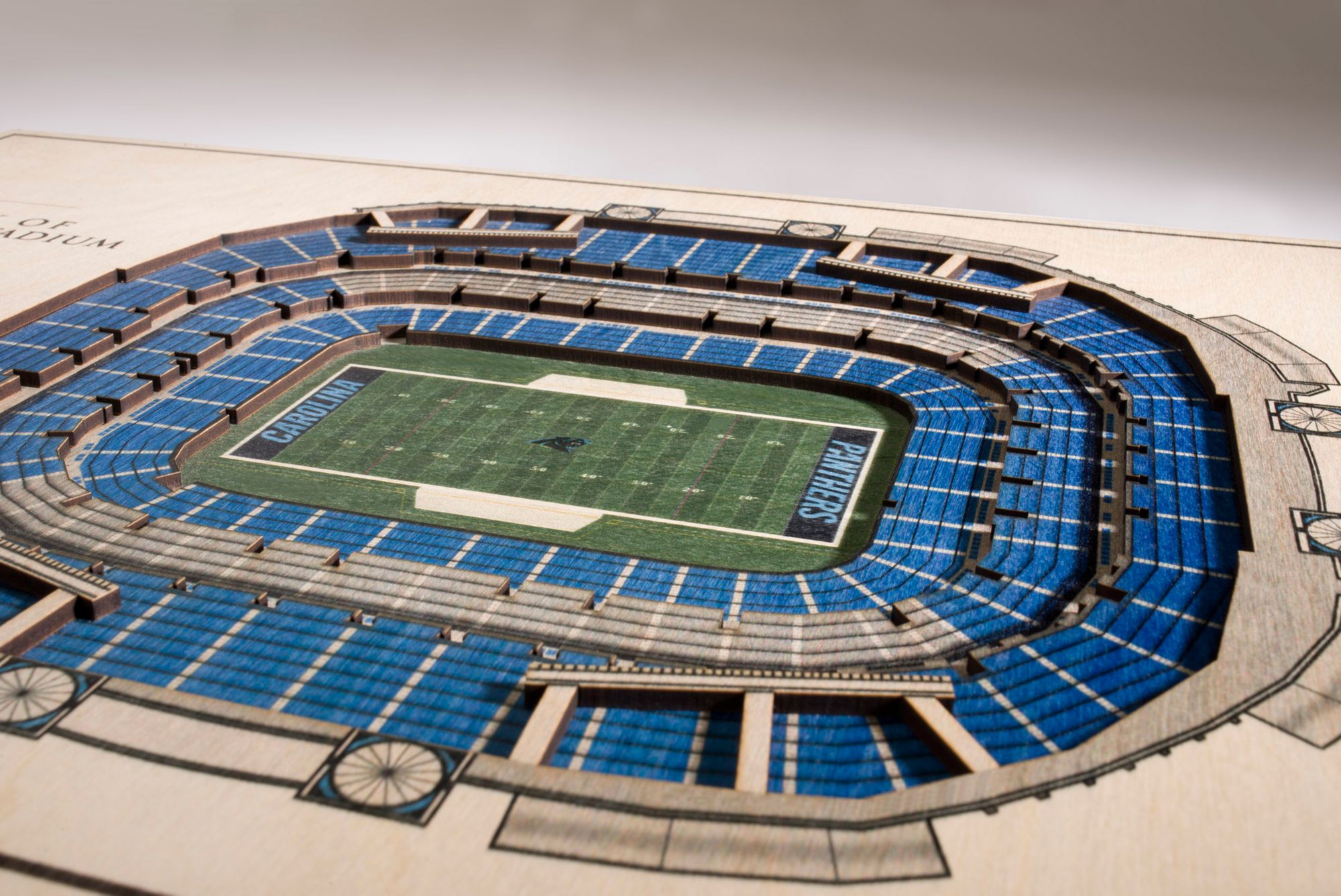 YouTheFan Carolina Panthers 5-Layer StadiumViews 3D Wall Art product image
