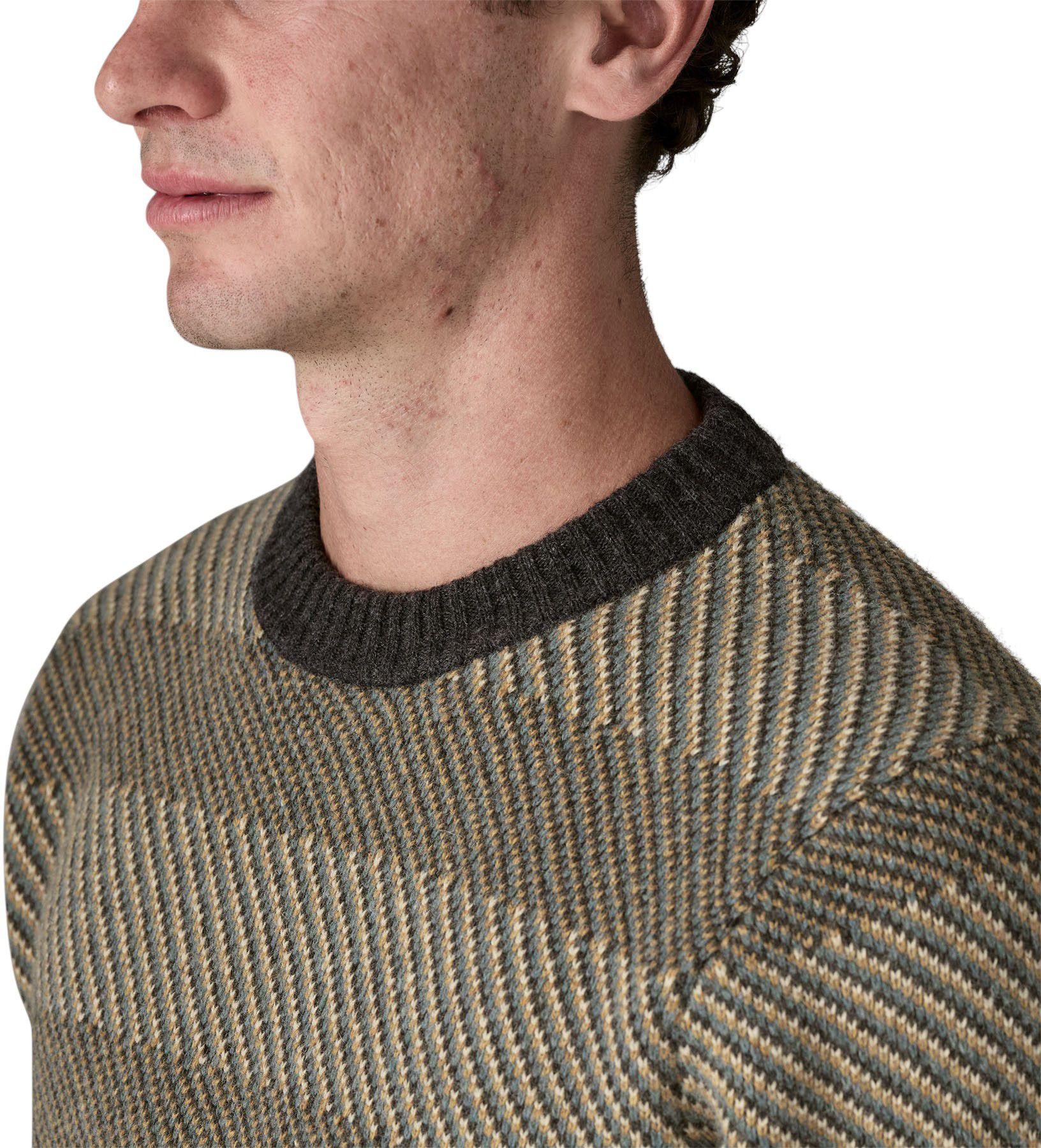 Patagonia Men's Recycled Wool Sweater product image