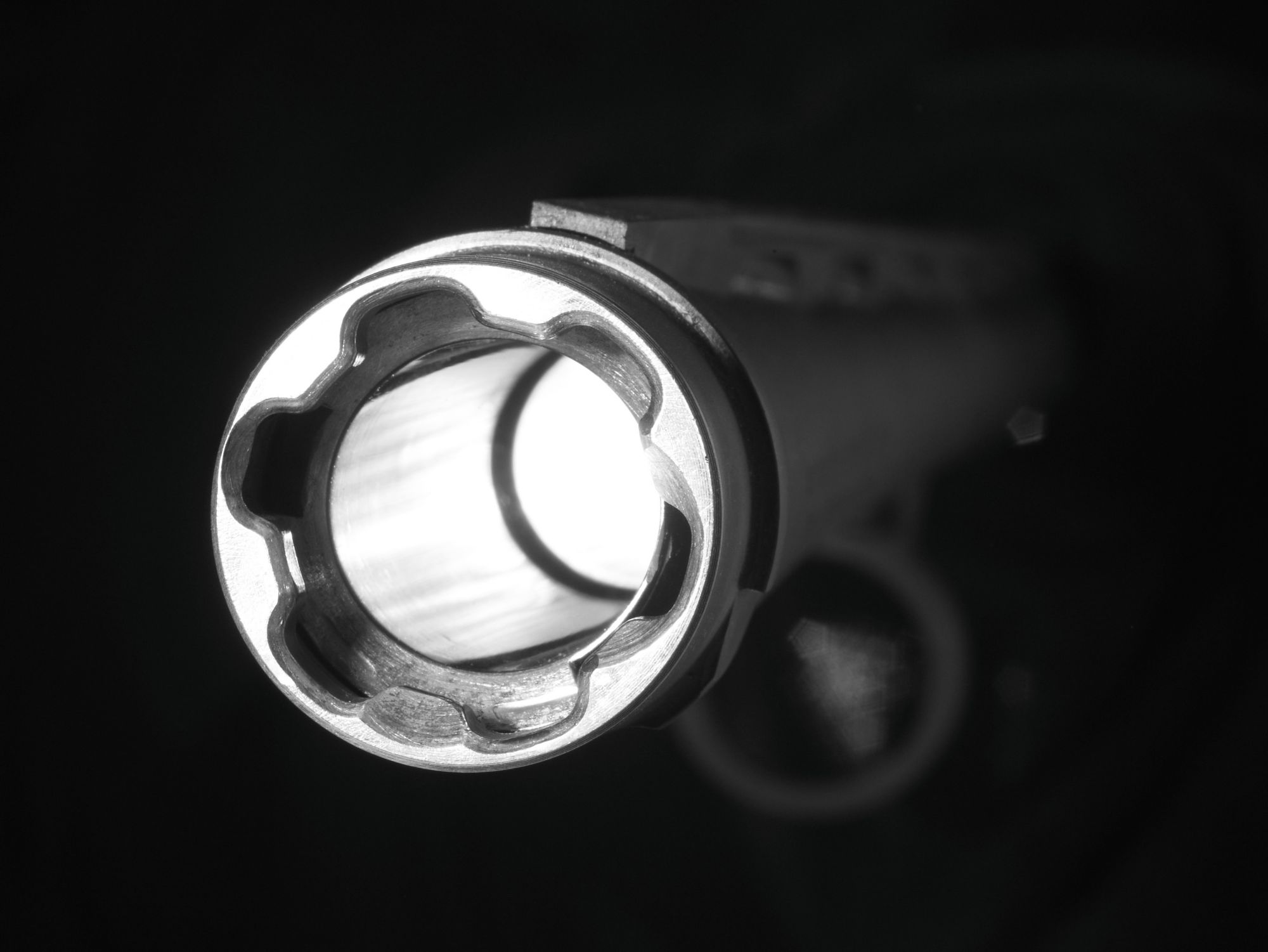 Winchester SXP Black Shadow Pump-Action Shotgun product image