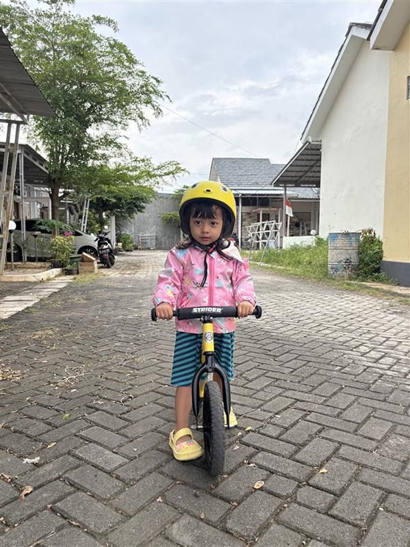 STRIDER Sport No-Pedal Balance 12" Bike product image