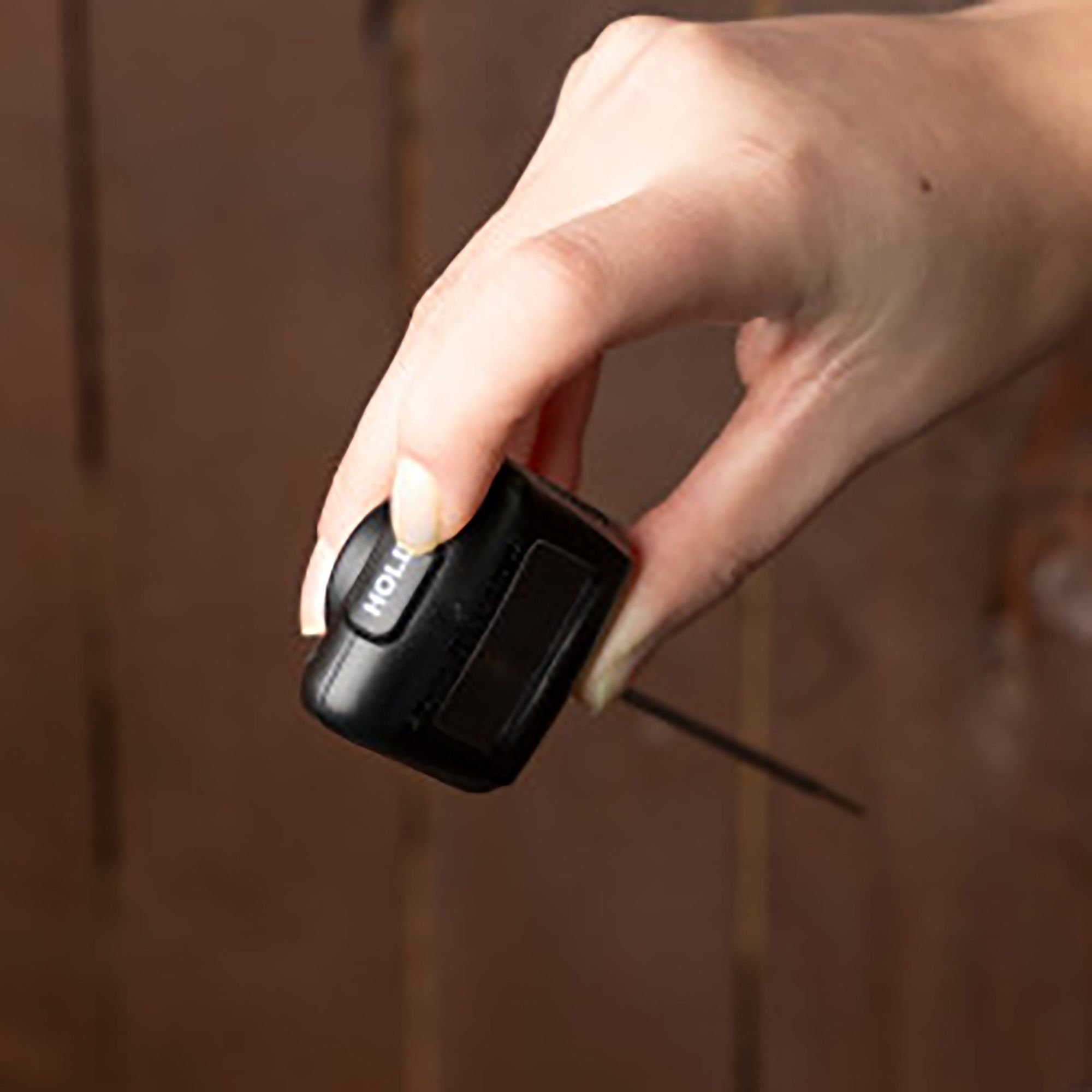 Blackstone Probe Thermometer product image