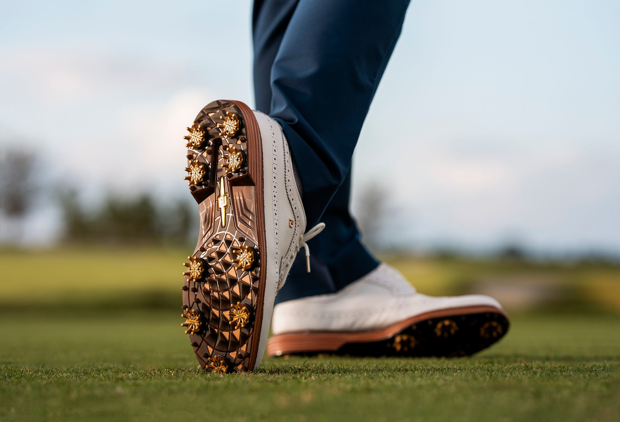 FootJoy Men's Premiere Series – Marquis product image