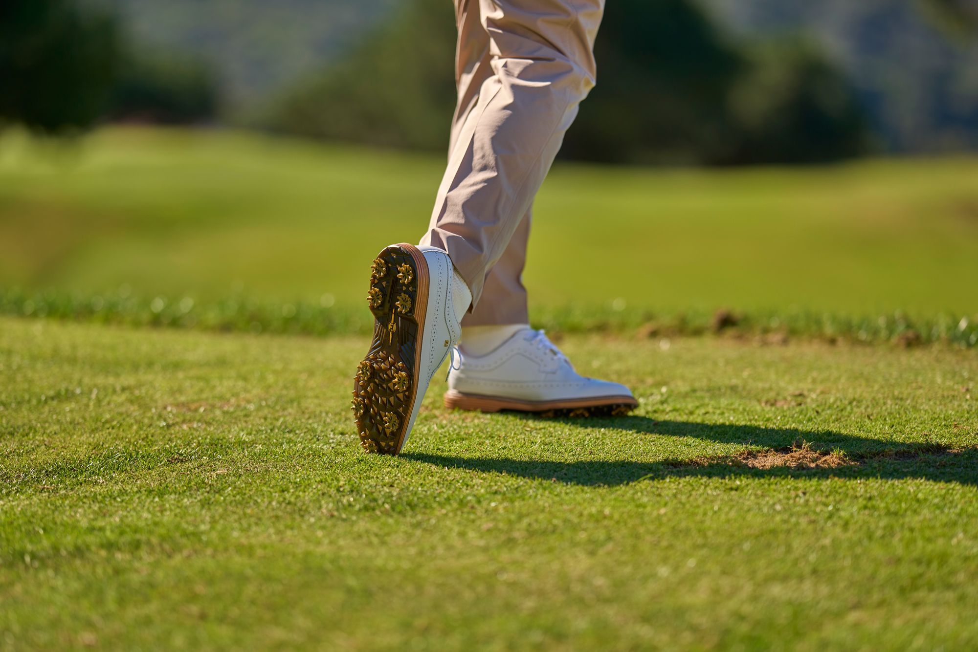 FootJoy Men's Premiere Series – Marquis product image
