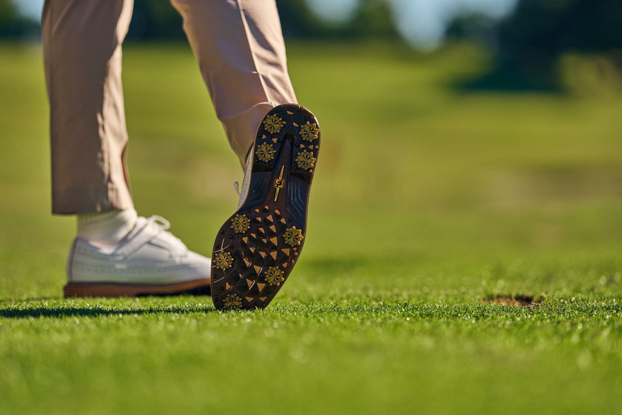 FootJoy Men's Premiere Series – Marquis product image