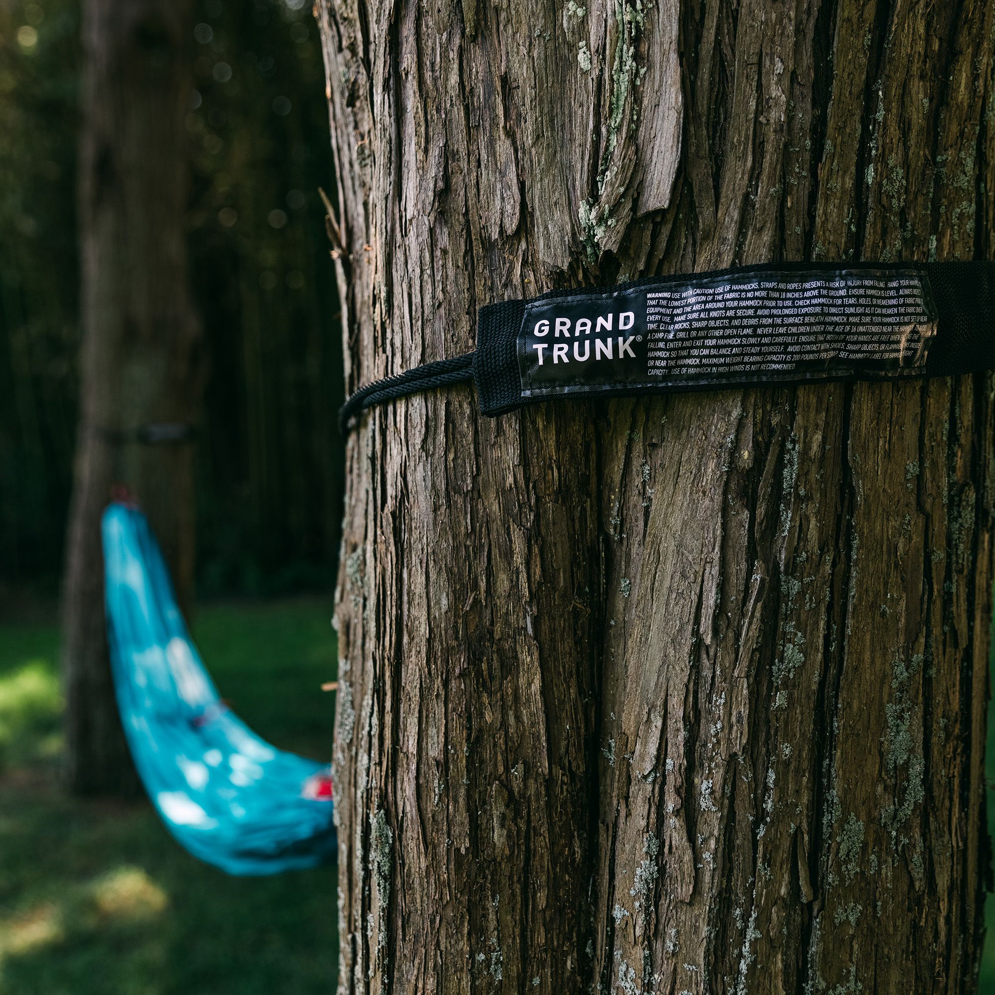 Grand Trunk Tree Slings product image