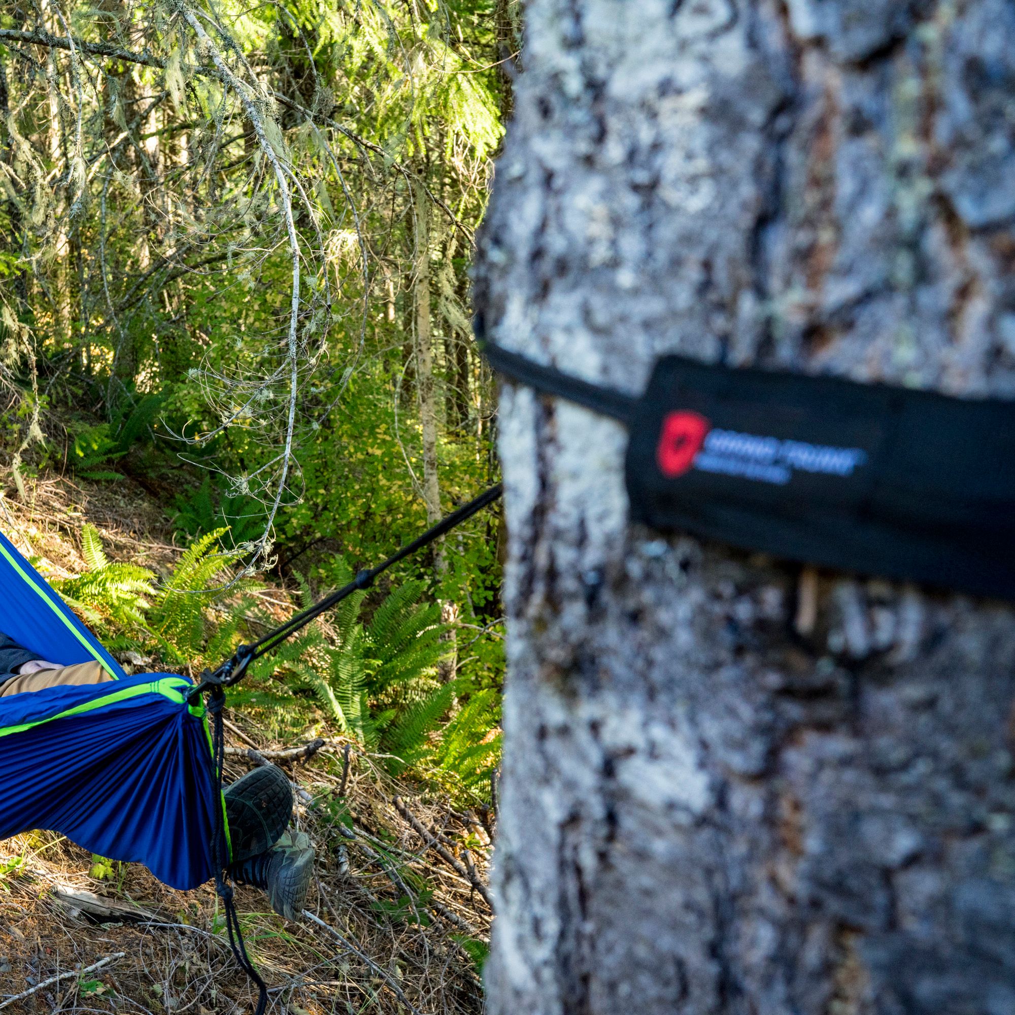 Grand Trunk Tree Slings product image