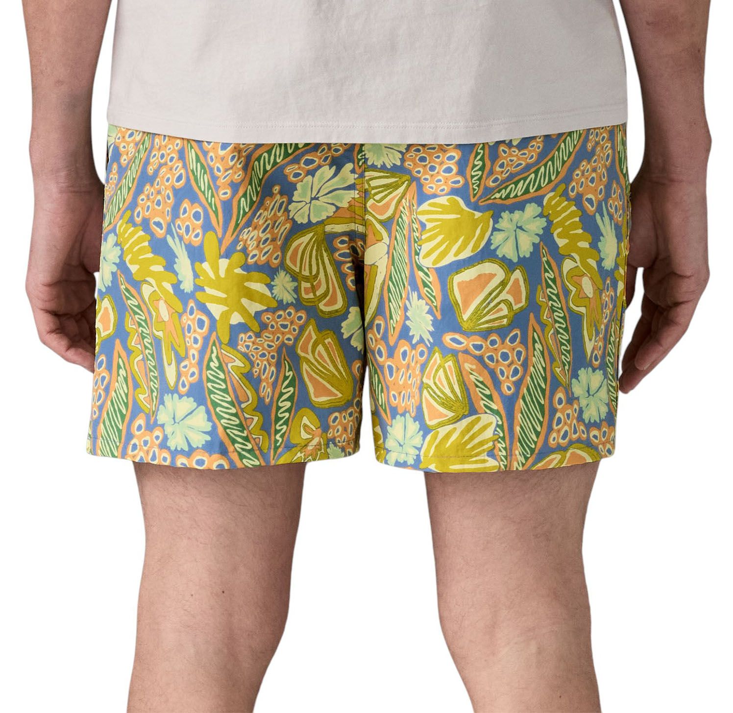 Patagonia Men's 5” Baggies Shorts product image