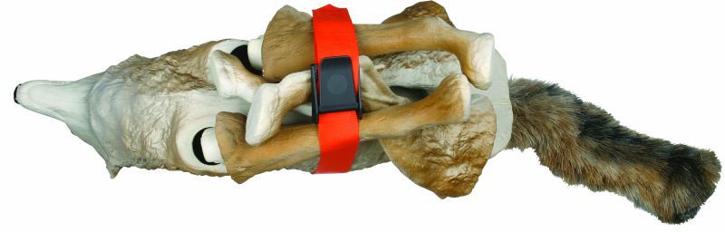 Flambeau Plastics Master Series Lone Howler Coyote Decoy product image