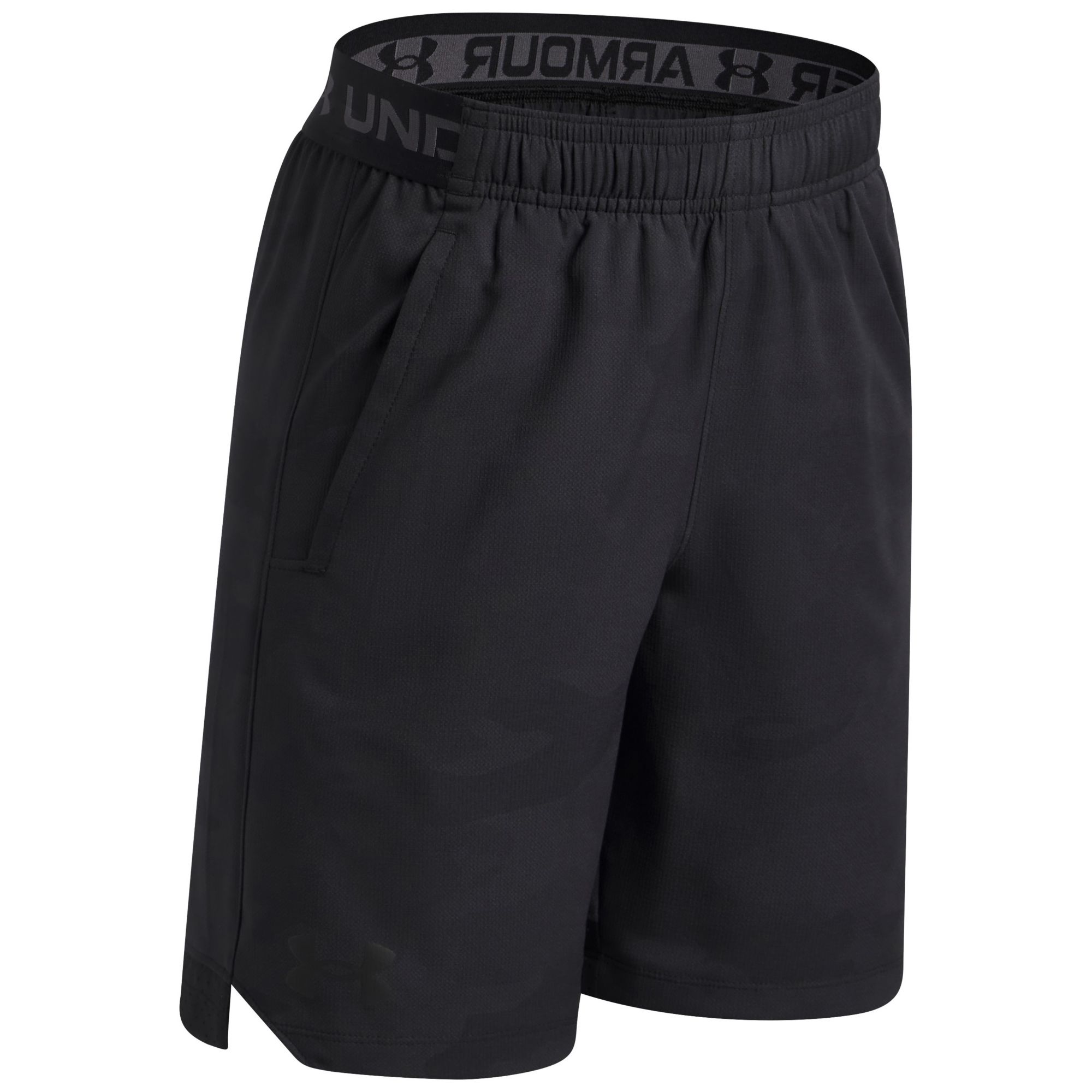 Under Armour Boys' UA Vanish Shorts product image