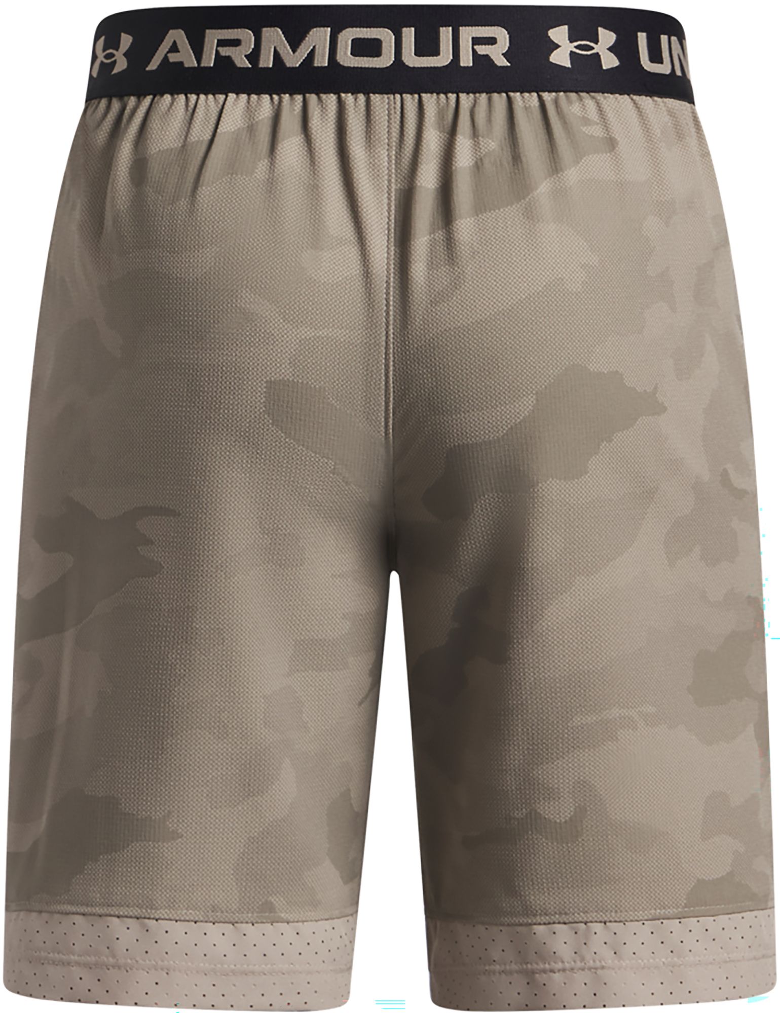 Under Armour Boys' UA Vanish Shorts product image