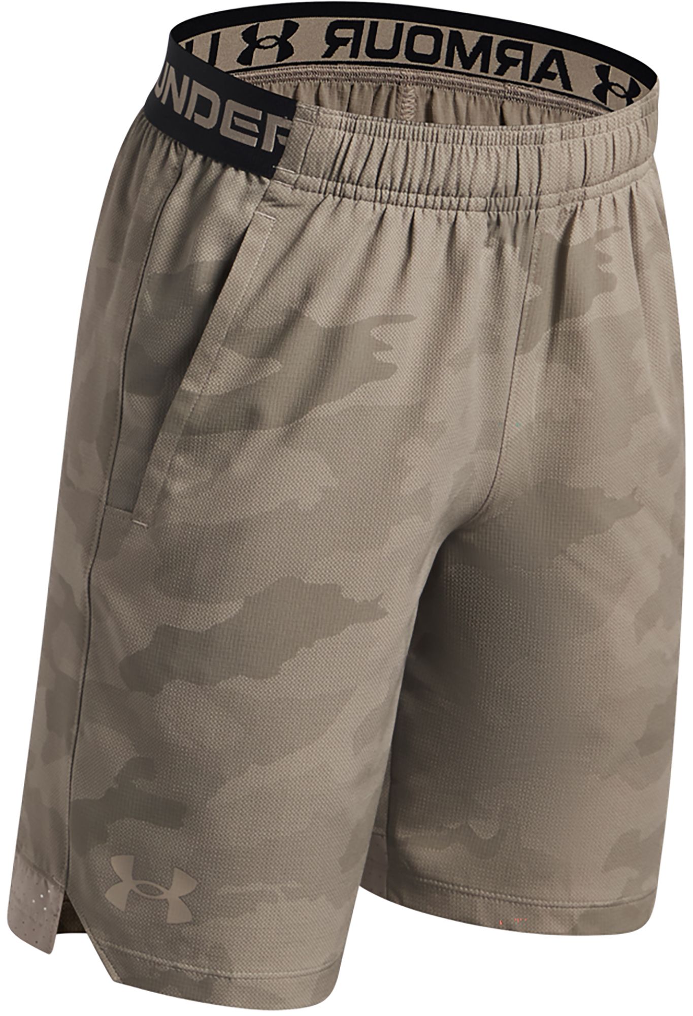 Under Armour Boys' UA Vanish Shorts product image