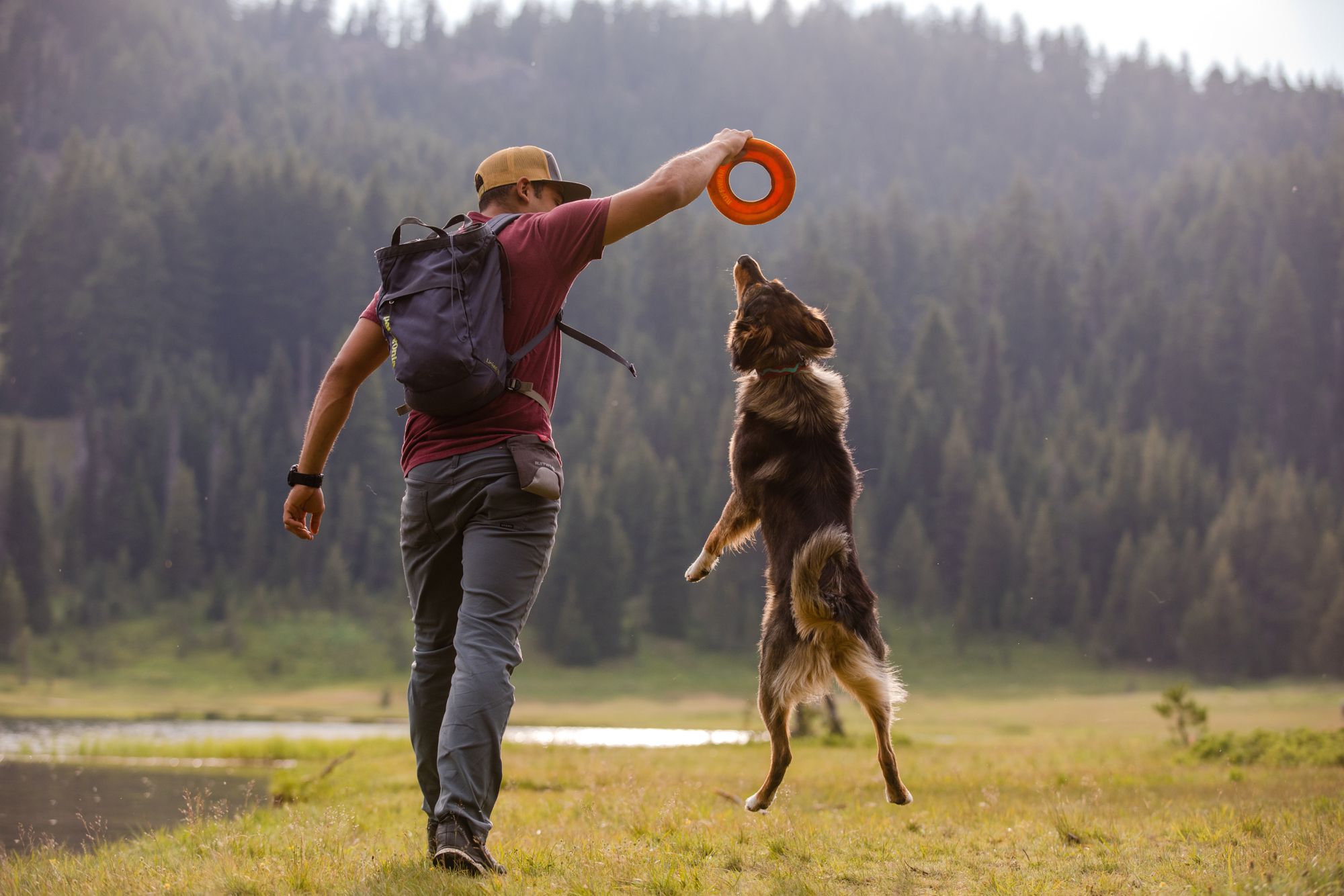 Ruffwear Hydro Plane Frisbee Dog Toy product image